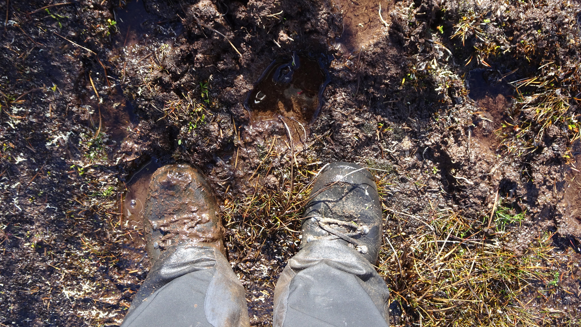 Circuito Dientes, Isla Navarino, Chile, Trekking, Wanderung