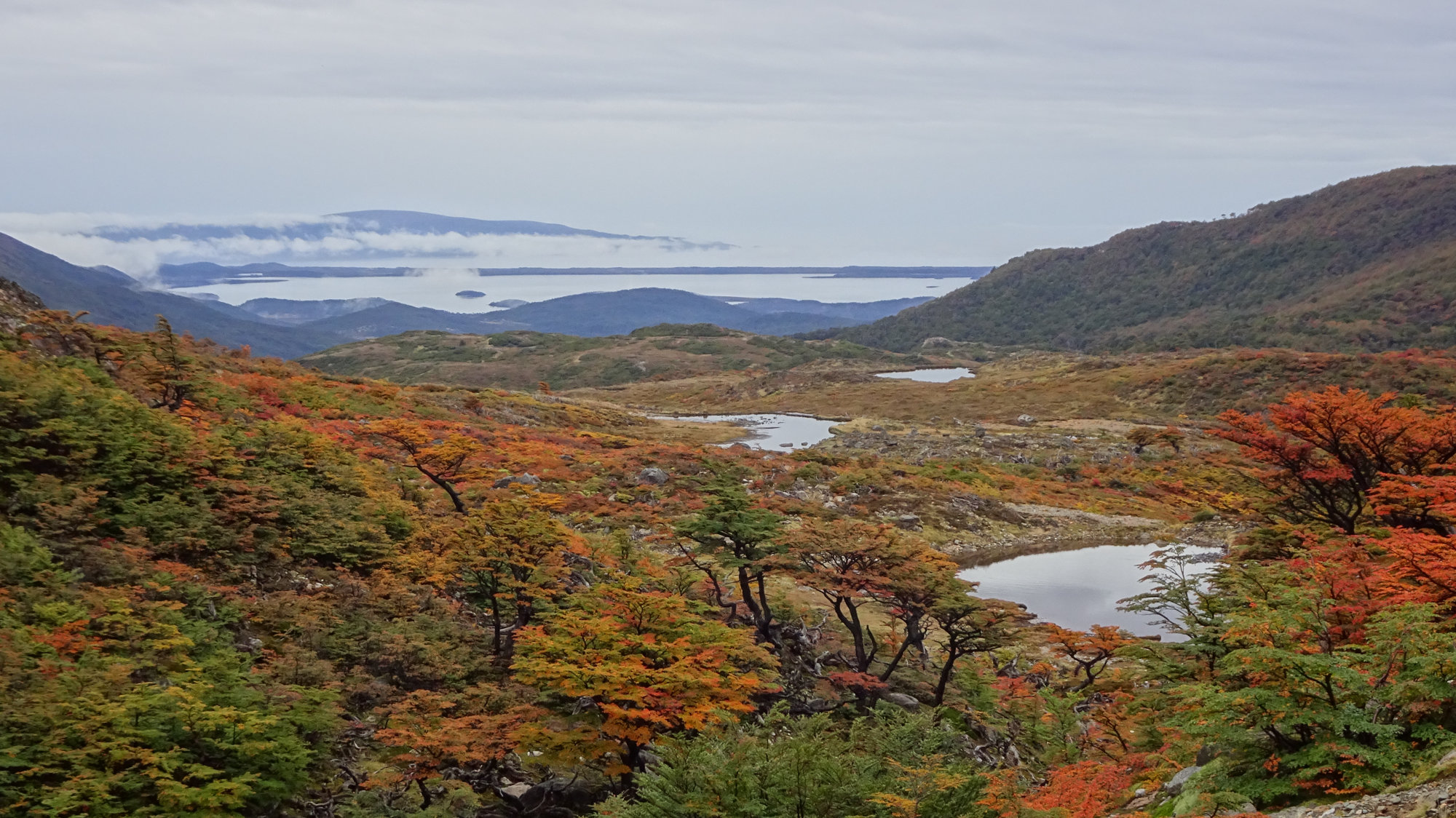 Circuito Dientes, Isla Navarino, Chile, Trekking, Wanderung