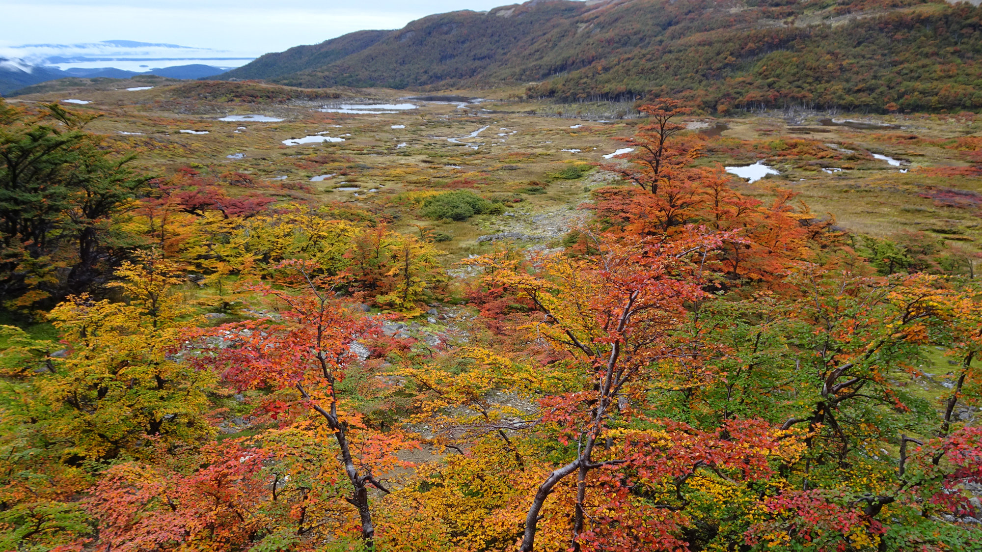 Circuito Dientes, Isla Navarino, Chile, Trekking, Wanderung