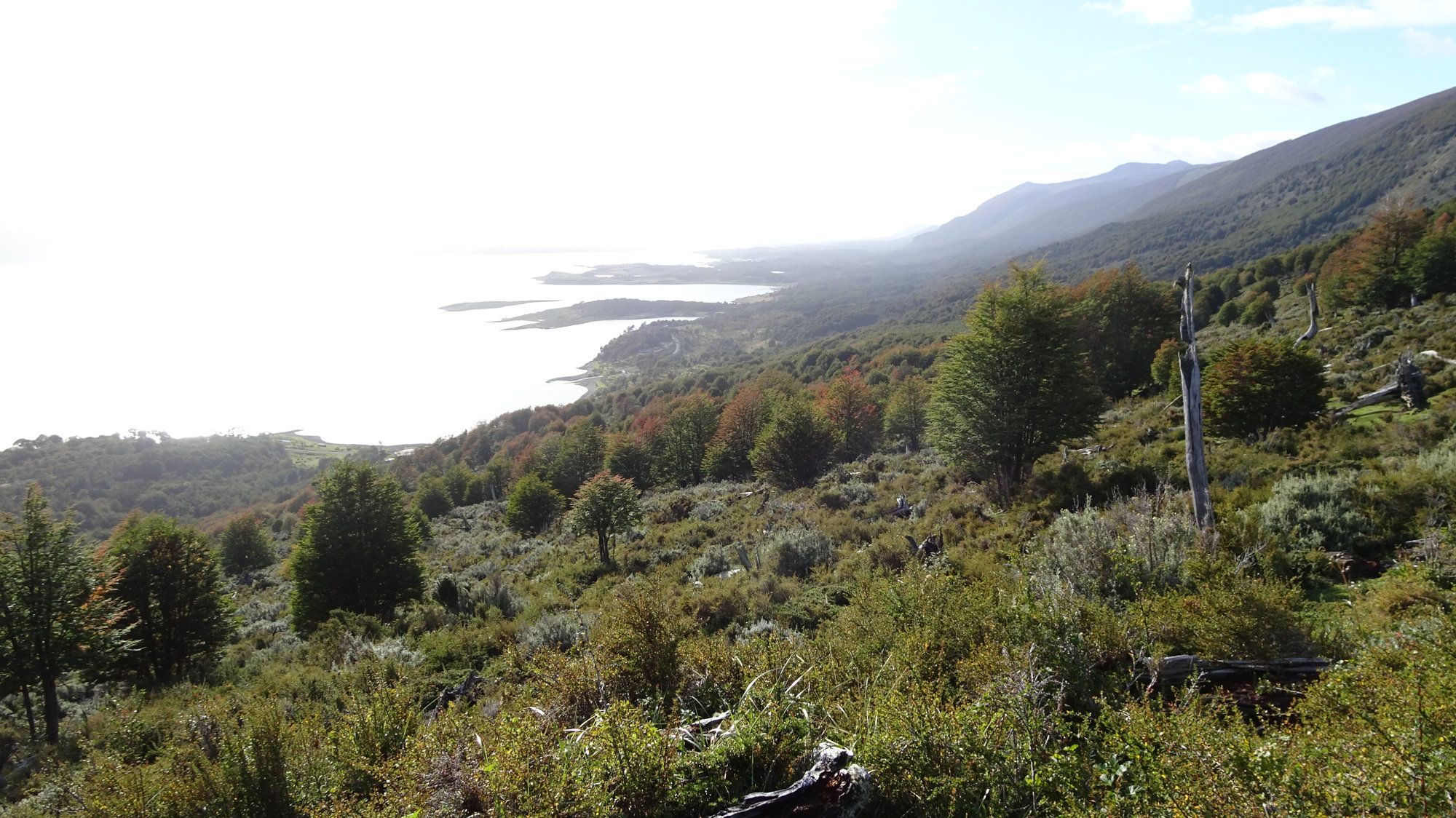 Circuito Dientes, Isla Navarino, Chile, Trekking, Wanderung