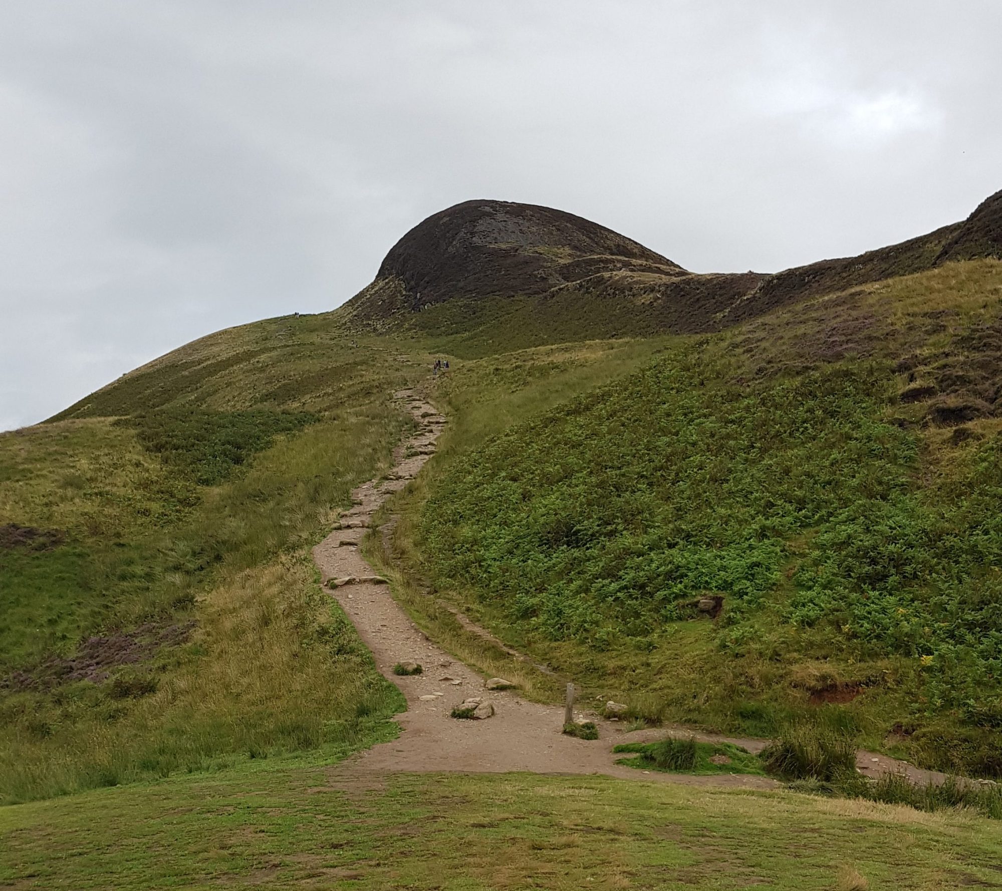 Letzter Anstieg zum Conic Hill, West Highland Way, Schottland, Wanderung, Weitwandern, Trekking, Highlands