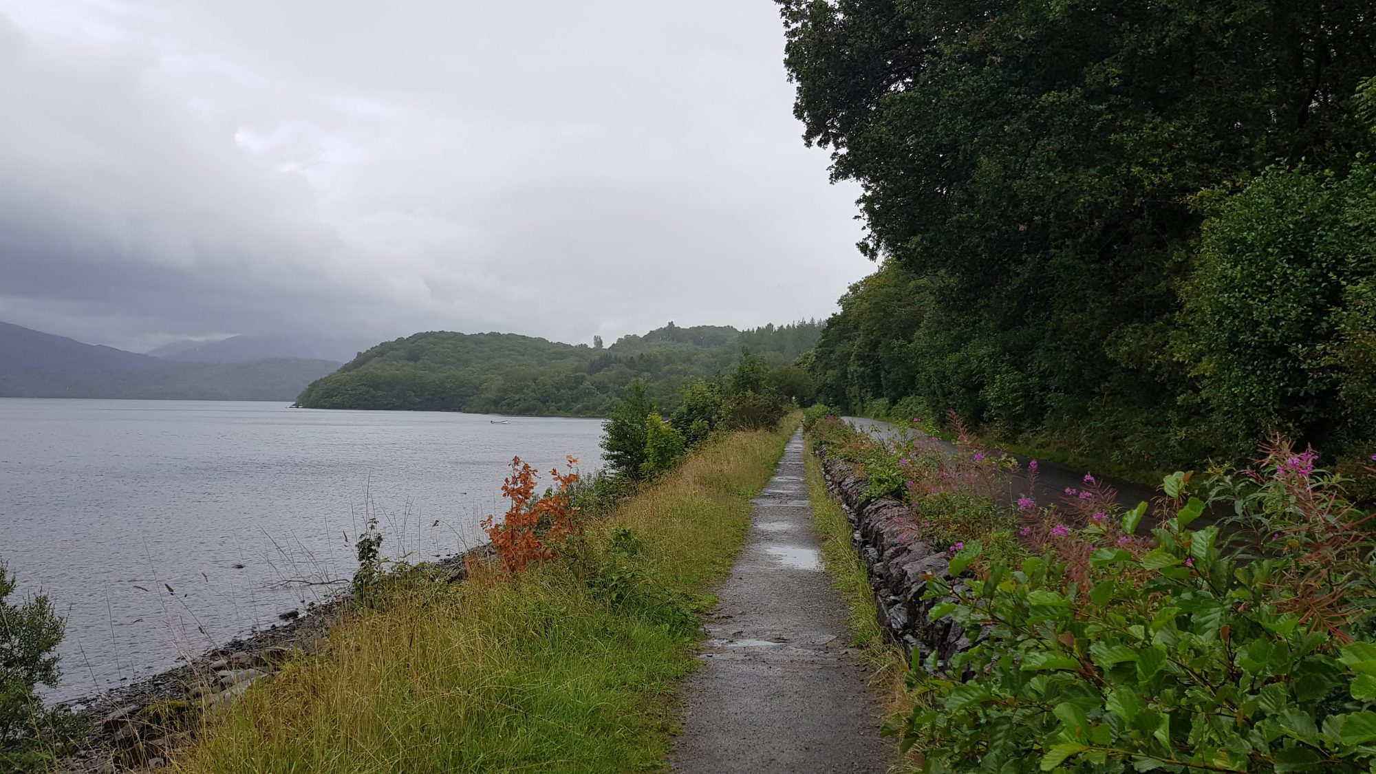 West Highland Way, Schottland, Wanderung, Weitwandern, Trekking, Highlands