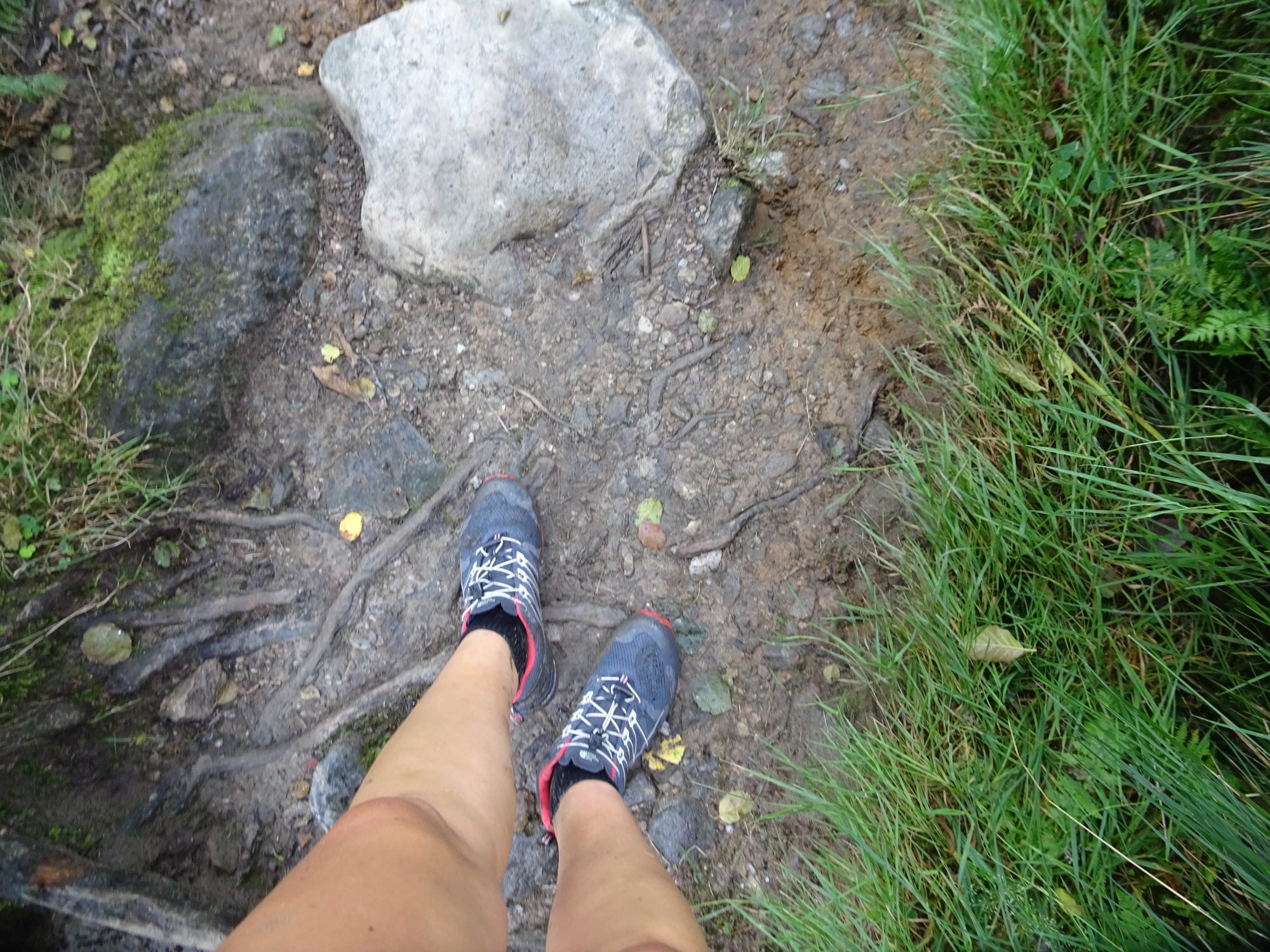 Wanderwege West Highland Way, Schottland, Wanderung, Weitwandern, Trekking, Highlands