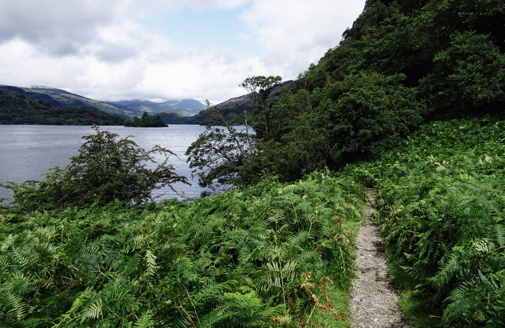 Es grünt so grün am Loch Lomond, West Highland Way, Schottland, Wanderung, Weitwandern, Trekking, Highlands