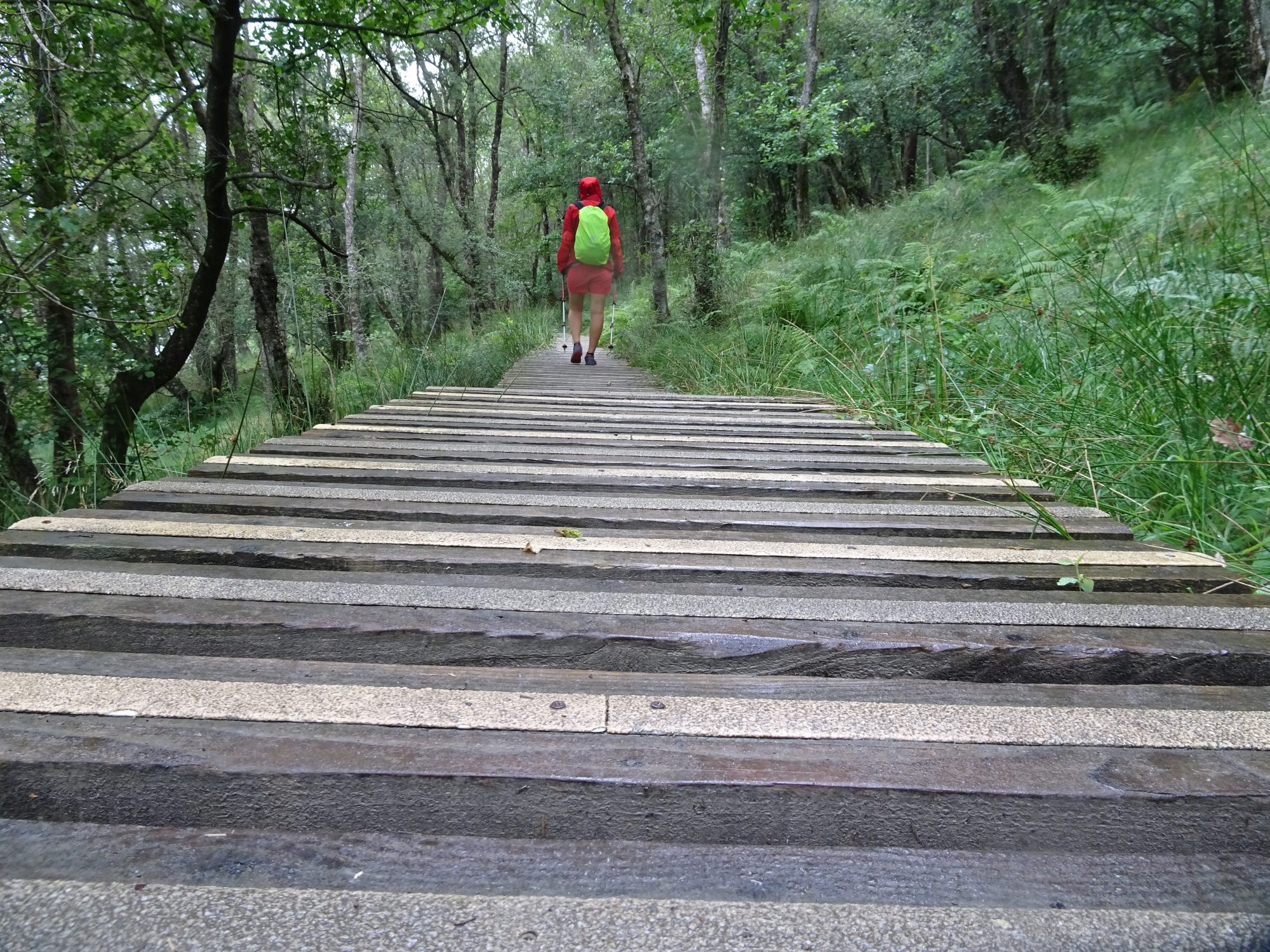 Stellenweises Komfortwandern auf Planken, West Highland Way, Schottland, Wanderung, Weitwandern, Trekking, Highlands