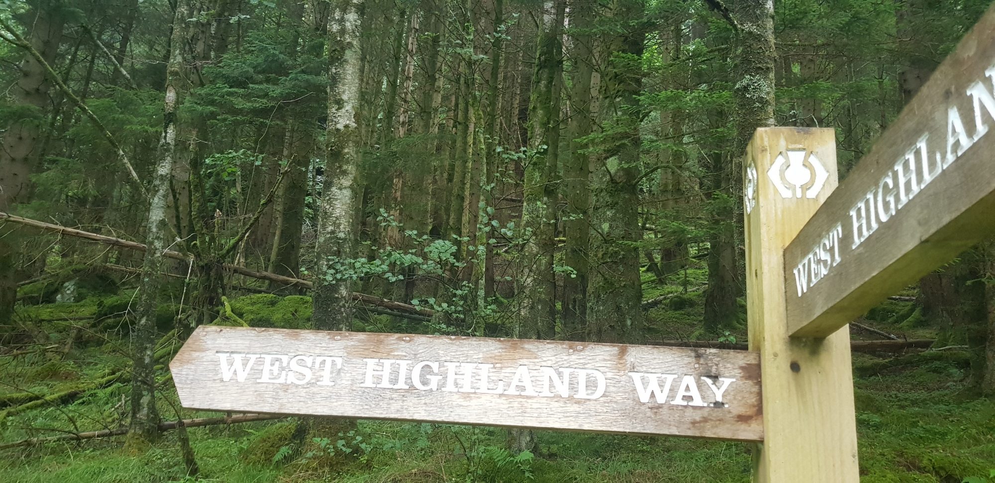 West Highland Way, Schottland, Wanderung, Weitwandern, Trekking, Highlands