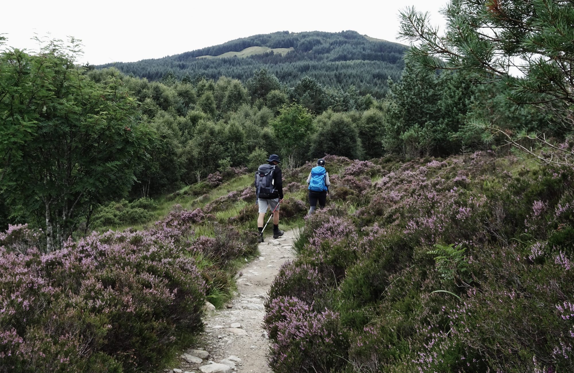 West Highland Way, Schottland, Wanderung, Weitwandern, Trekking, Highlands