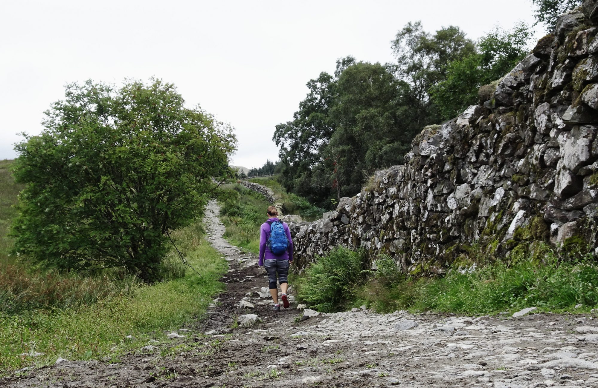 Mauer, Wanderweg, West Highland Way, Schottland, Wanderung, Weitwandern, Trekking, Highlands