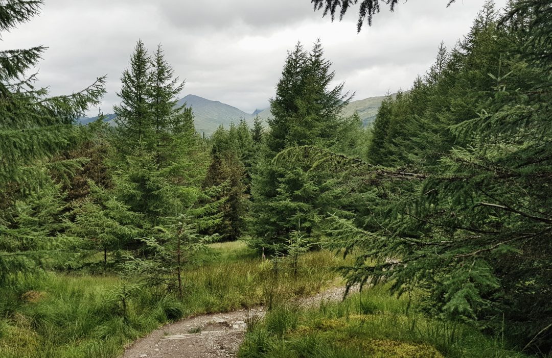 West Highland Way, Schottland, Wanderung, Weitwandern, Trekking, Highlands
