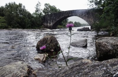 Bridge of Orchy , West Highland Way, Schottland, Wanderung, Weitwandern, Trekking, Highlands