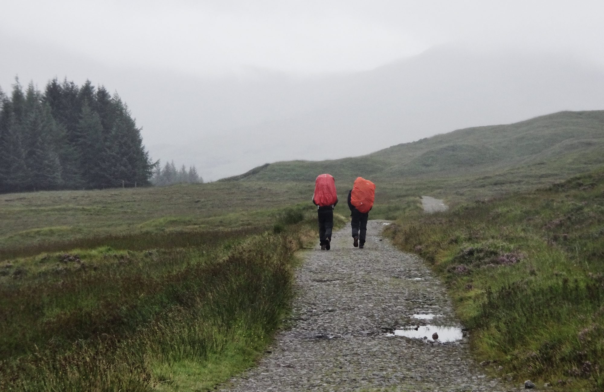West Highland Way, Schottland, Wanderung, Weitwandern, Trekking, Highlands
