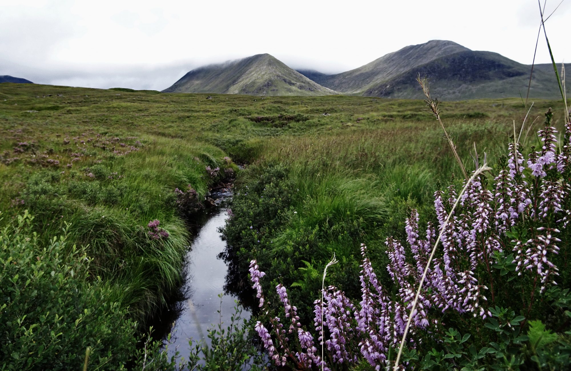 West Highland Way, Schottland, Wanderung, Weitwandern, Trekking, Highlands