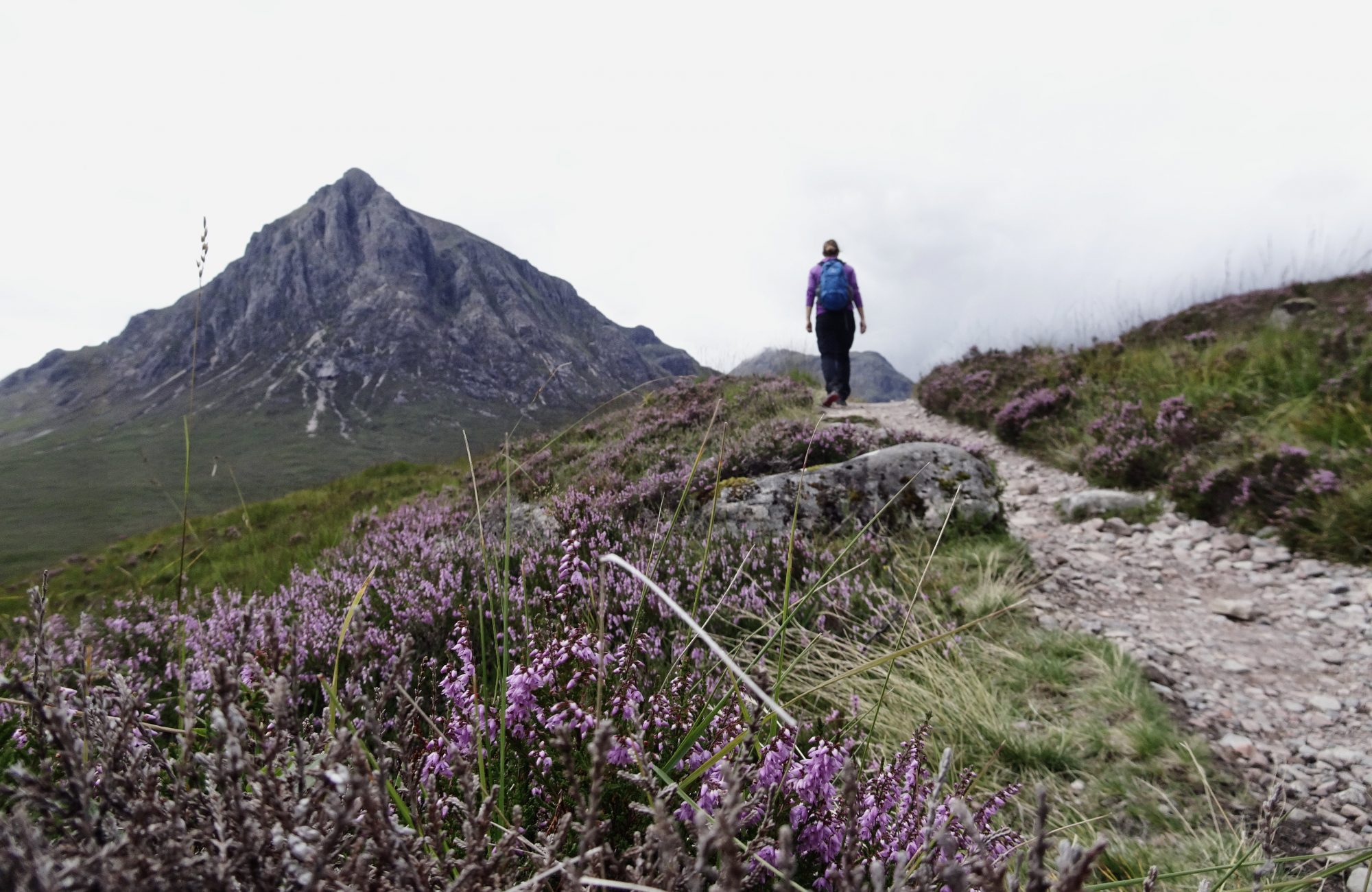 West Highland Way, Schottland, Wanderung, Weitwandern, Trekking, Highlands