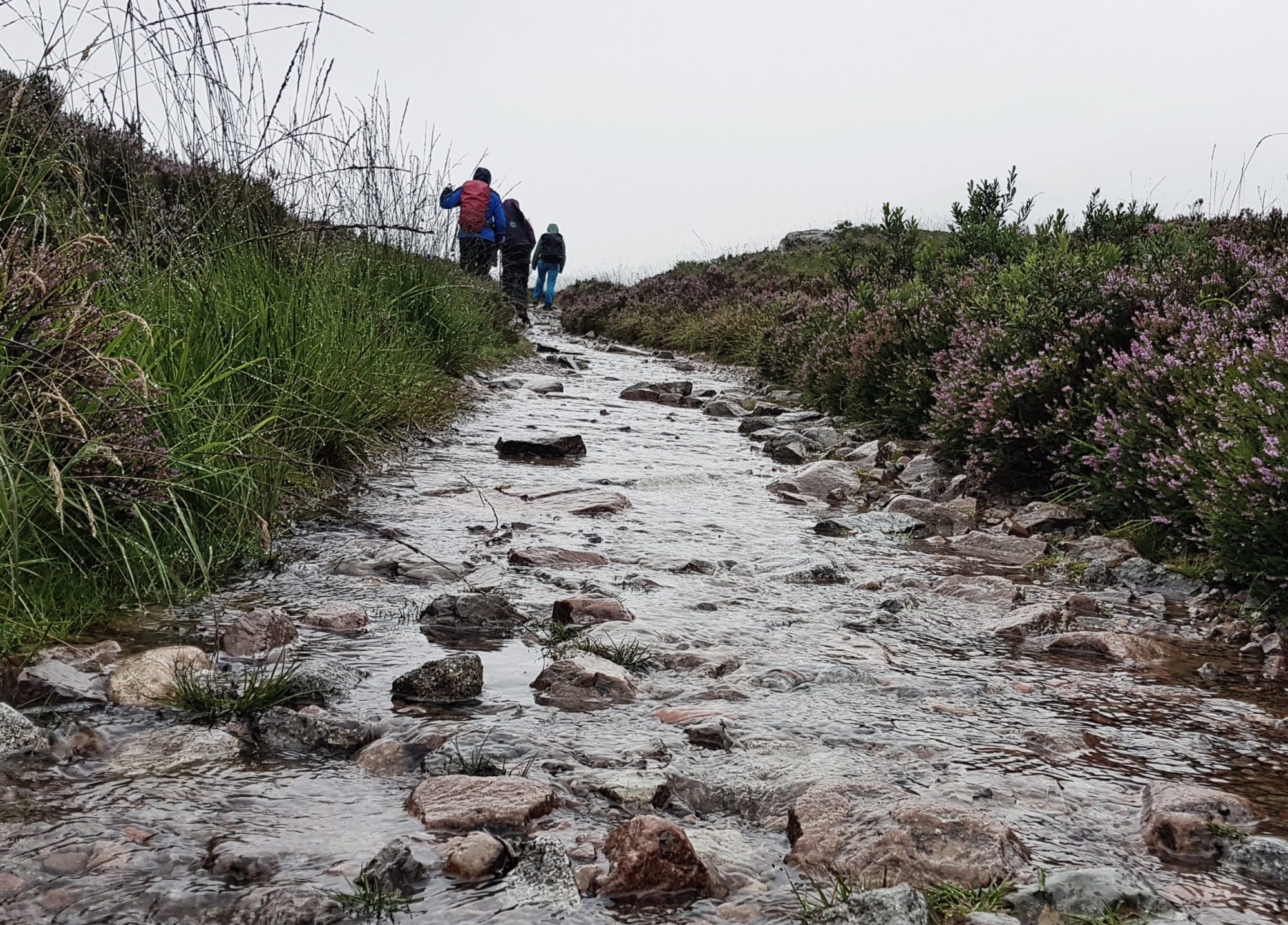 West Highland Way, Schottland, Wanderung, Weitwandern, Trekking, Highlands