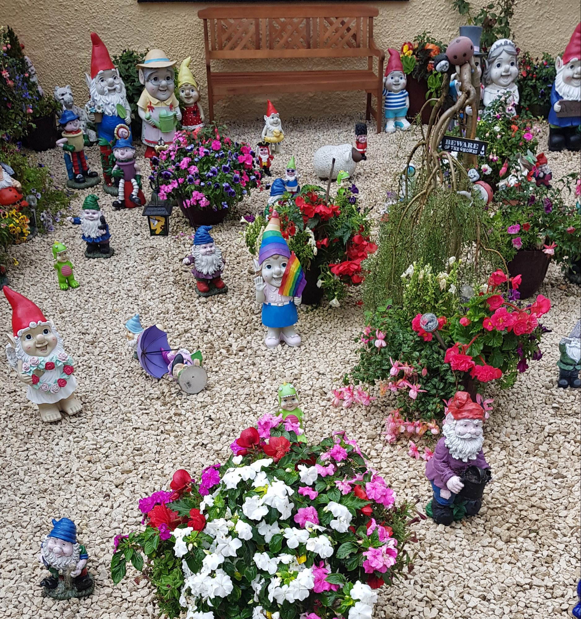 West Highland Way, Schottland, Wanderung, Weitwandern, Trekking, Highlands