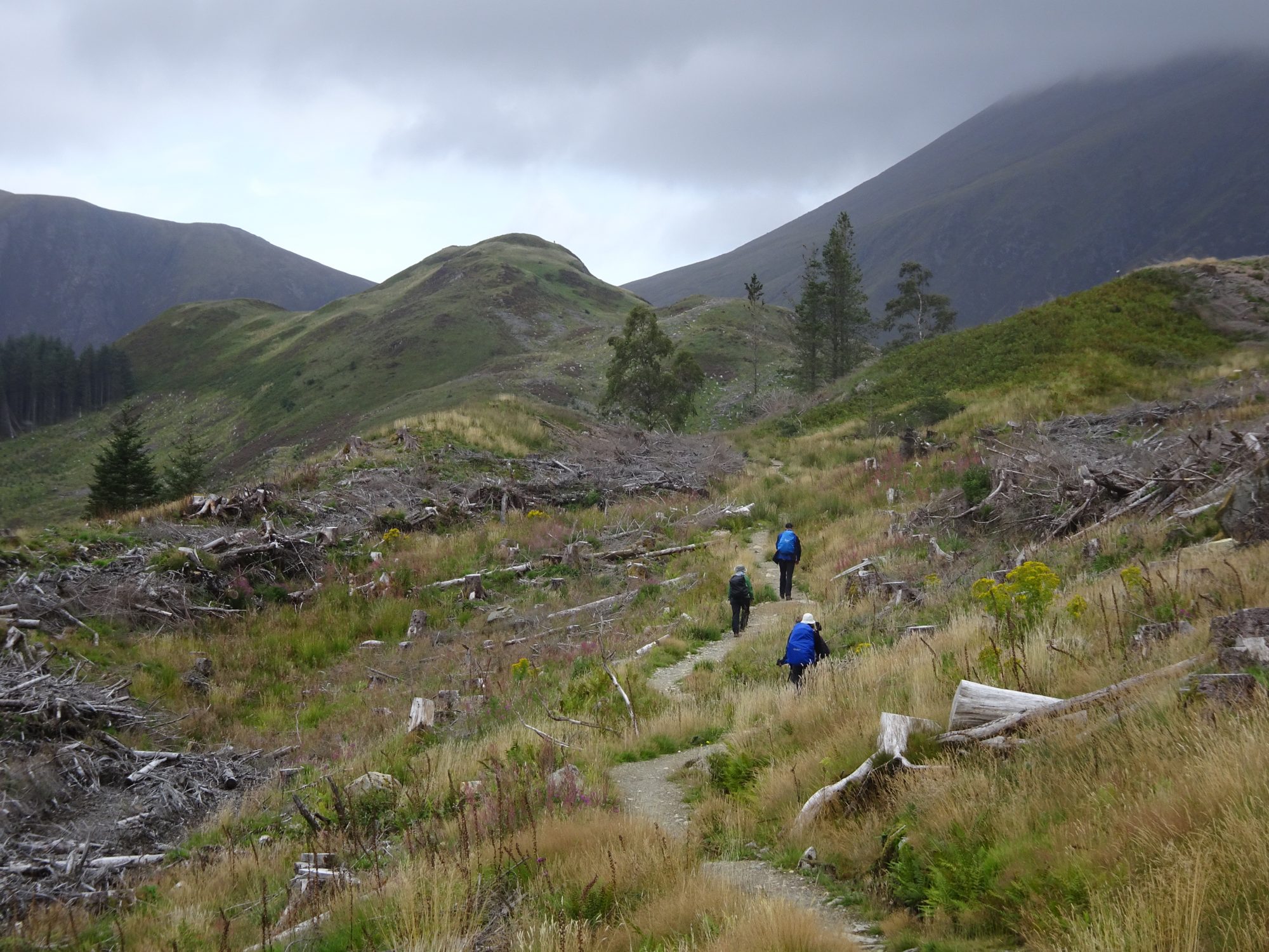 West Highland Way, Schottland, Wanderung, Weitwandern, Trekking, Highlands