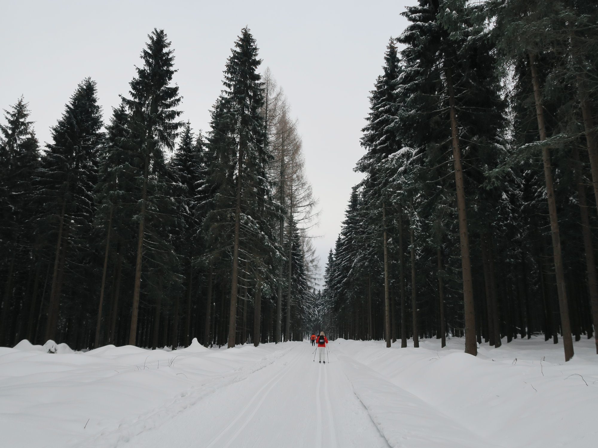 Kammloipe, Langlaufen im Vogtland, Ergebirge