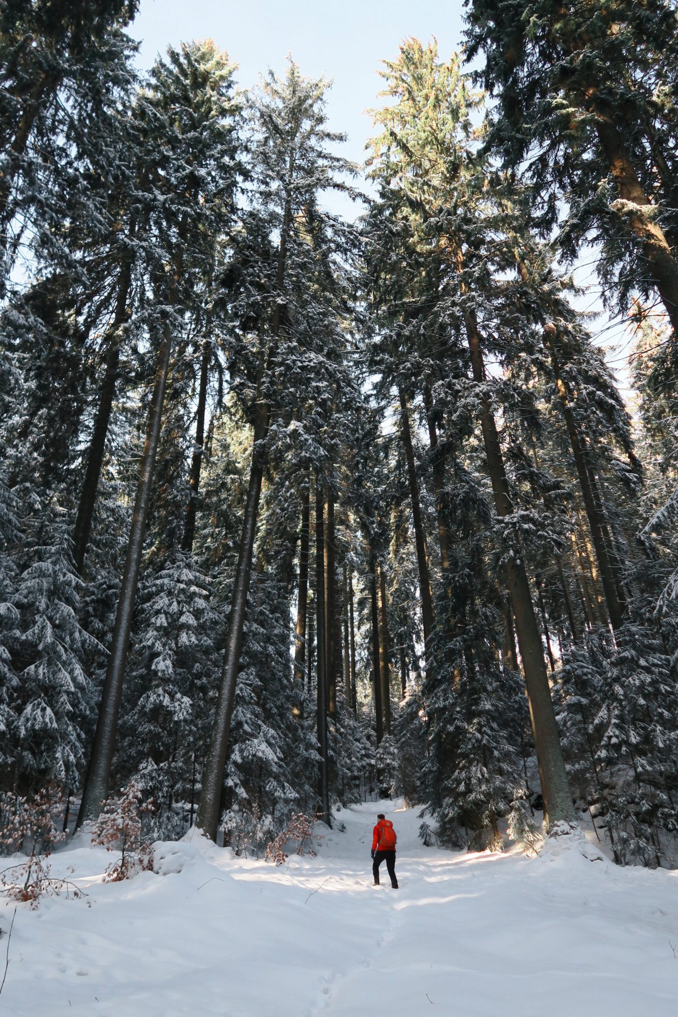 Traumhaft verschneite Landschaft beim Winterwandern im Vogtland, Felsenweg, Grünbach
