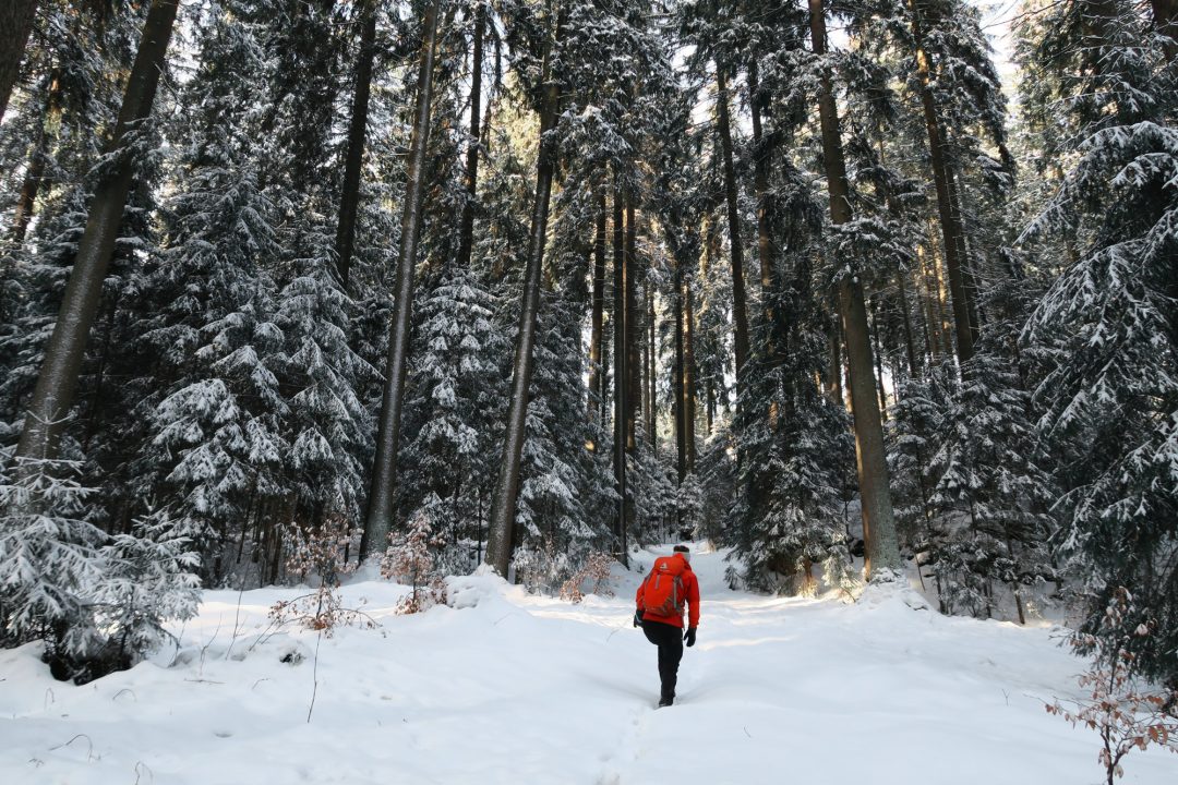 Vogtland Felsenweg Winterwandern (14)