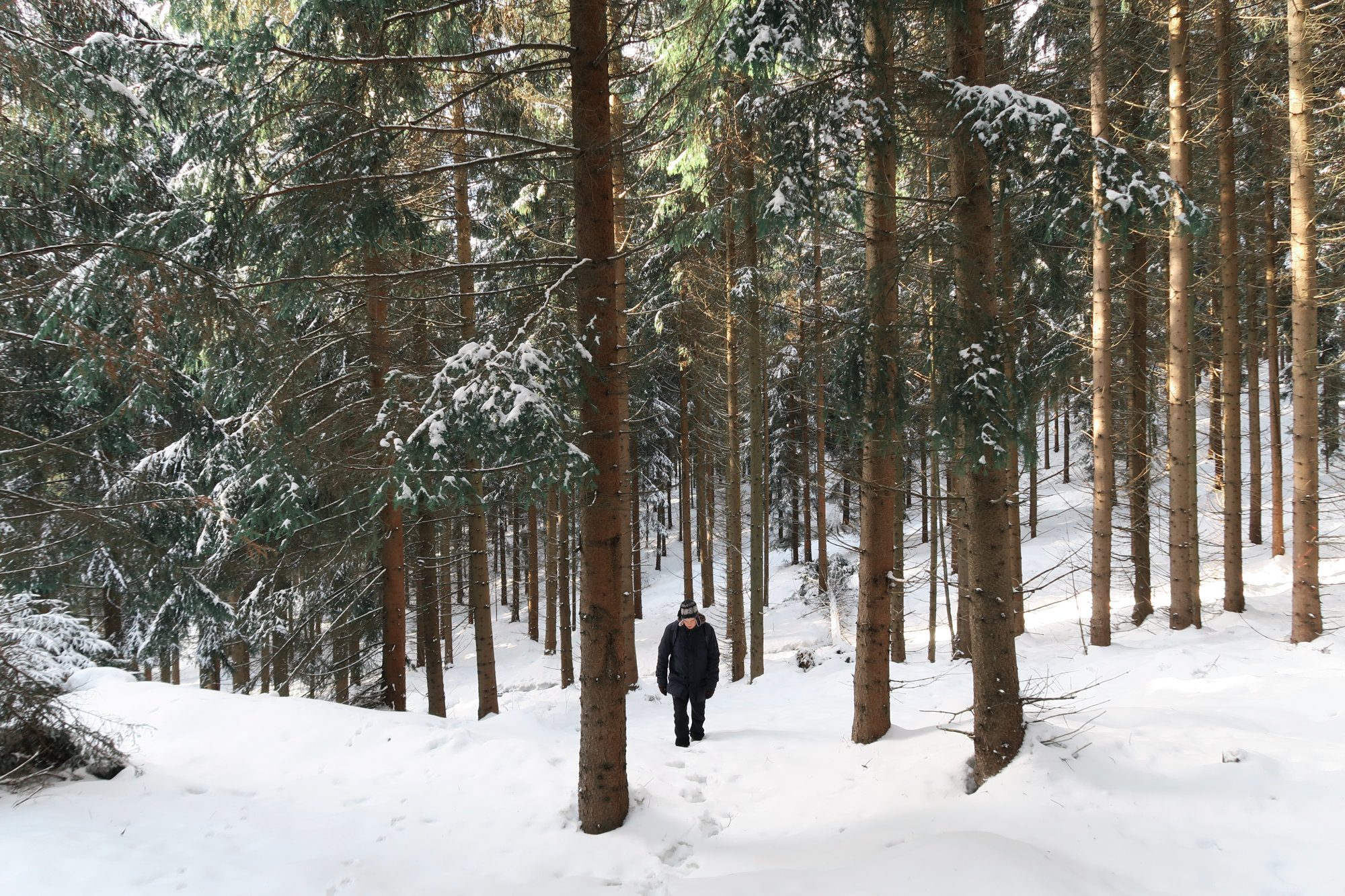 Wandern durch tiefverschneite Wälder. Winterwandern im Vogtland, Felsenweg, Grünbach