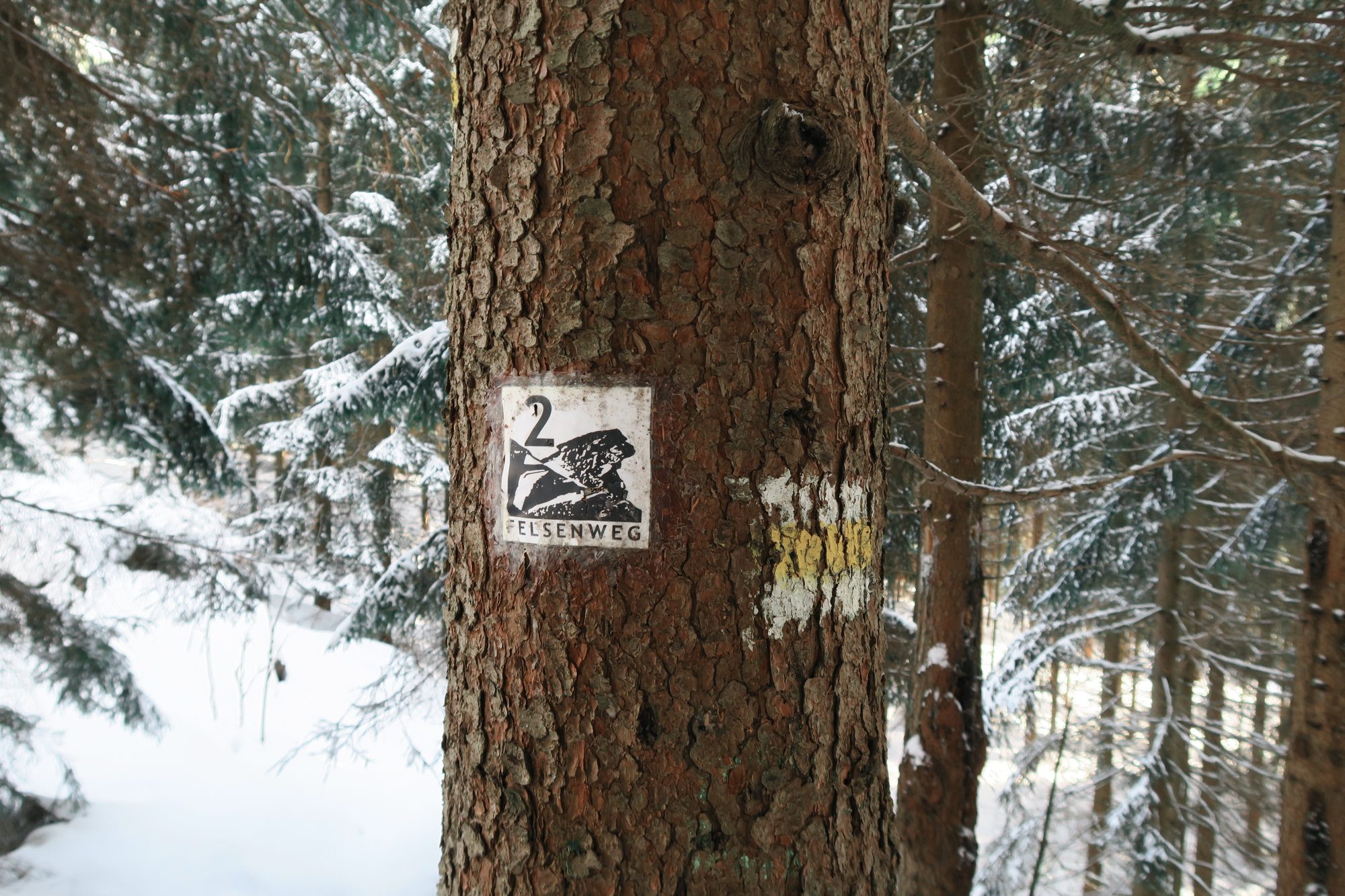 Wegmarkierung Felsenweg. Winterwandern im Vogtland, Felsenweg, Grünbach