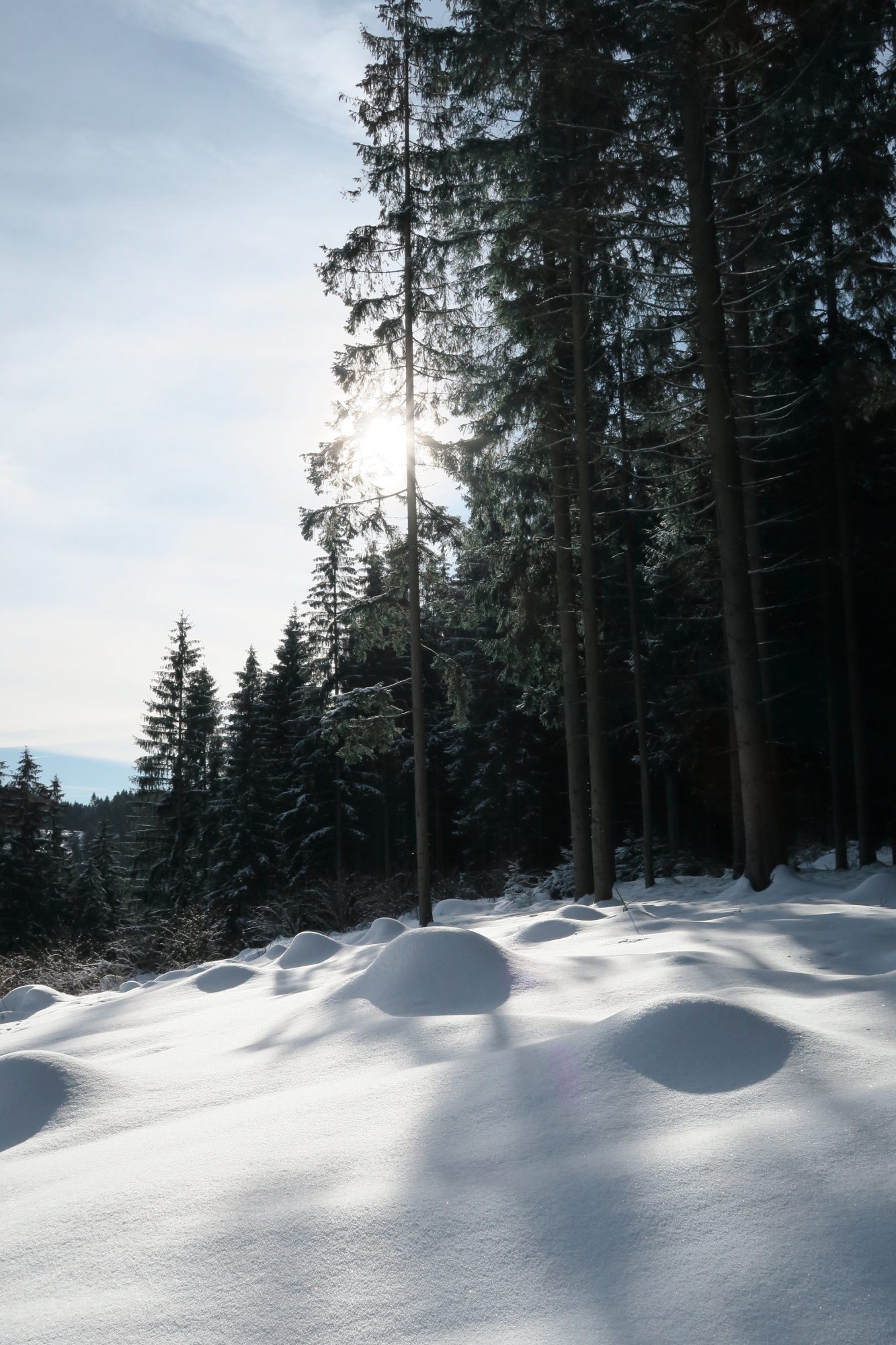 Märchenland auf dem Felsenweg im Winter. Winterwandern im Vogtland, Felsenweg, Grünbach