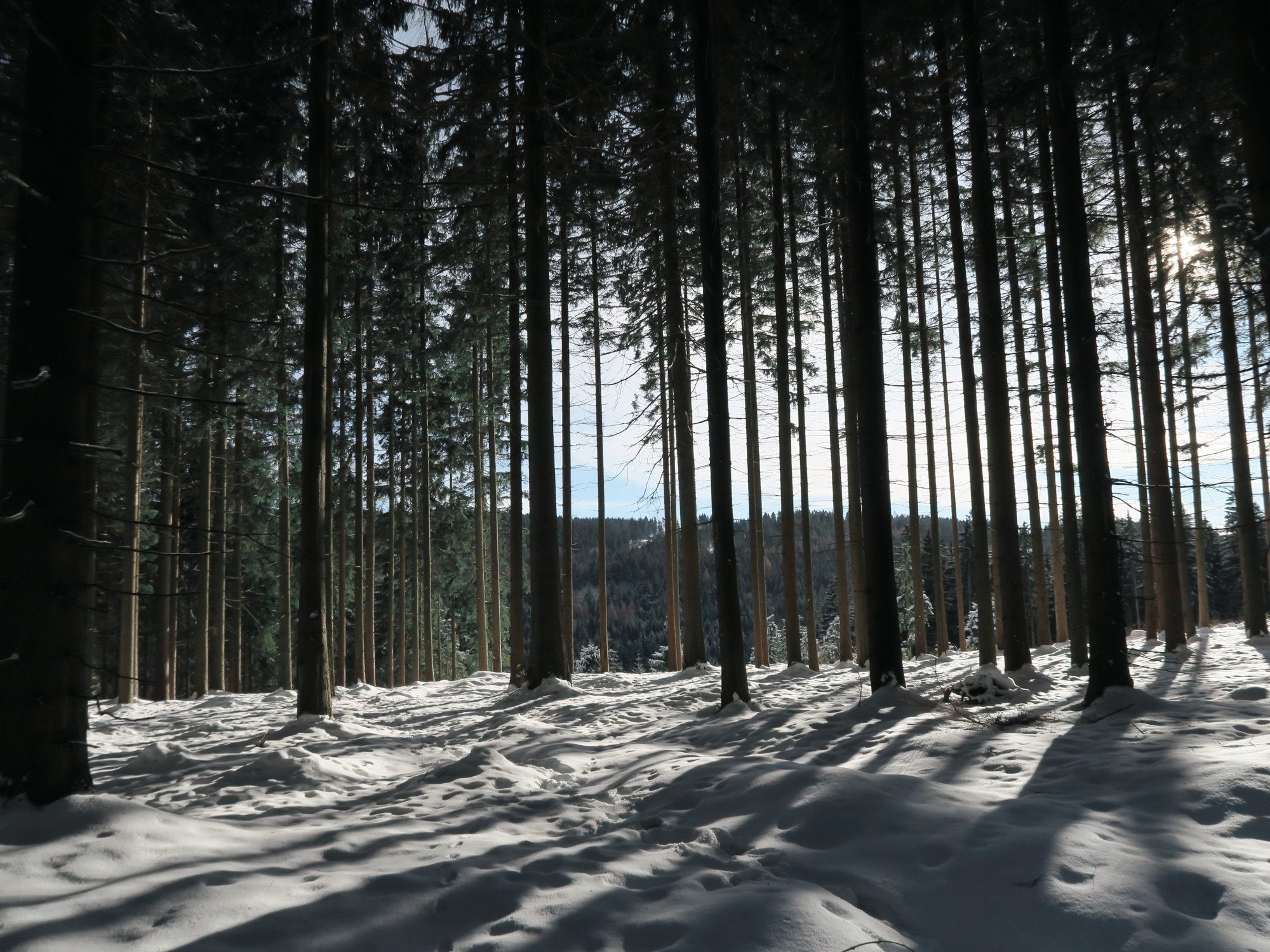 Winterwandern im Vogtland, Felsenweg, Grünbach