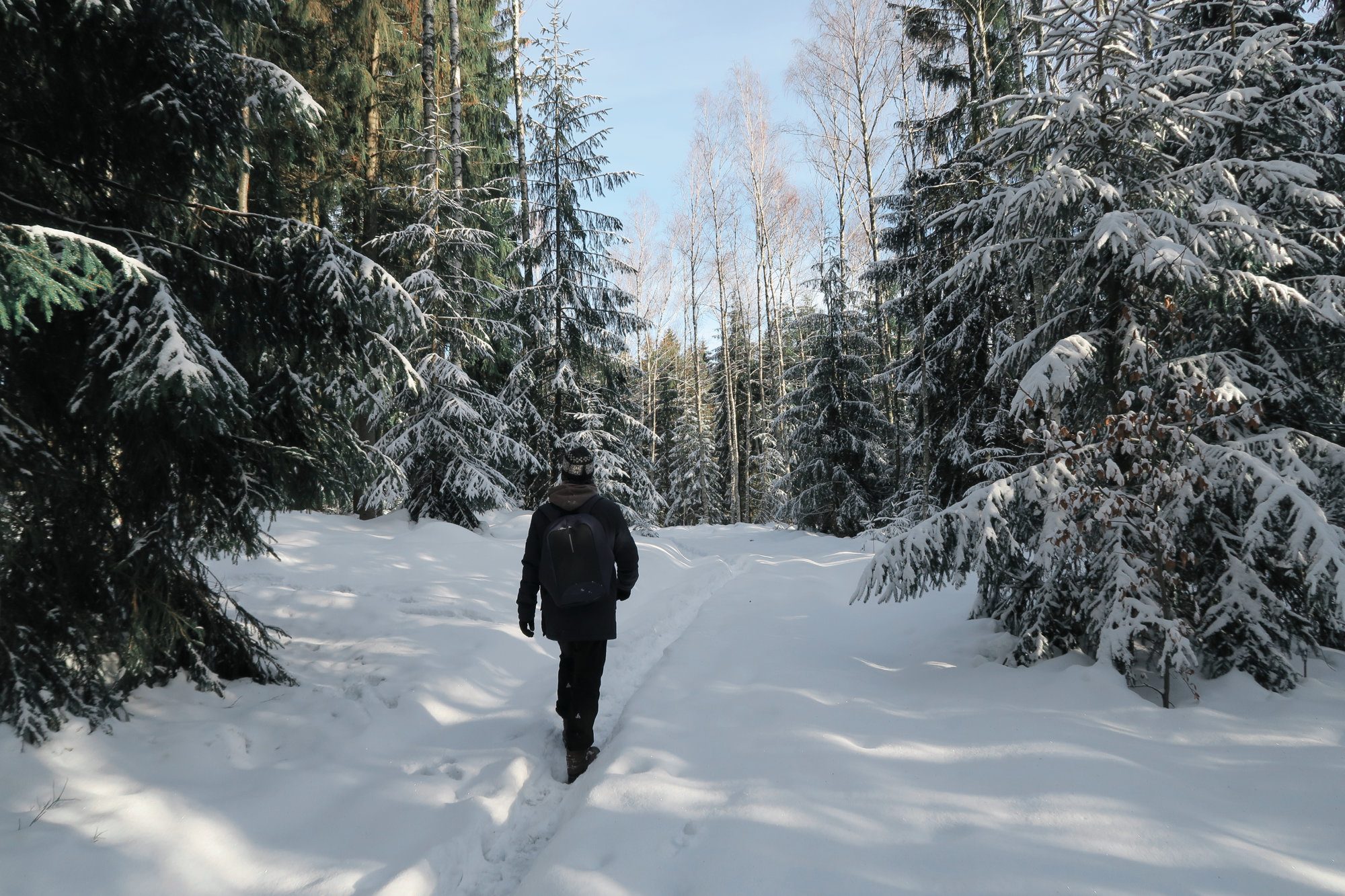 Winterwandern im Vogtland, Felsenweg, Grünbach