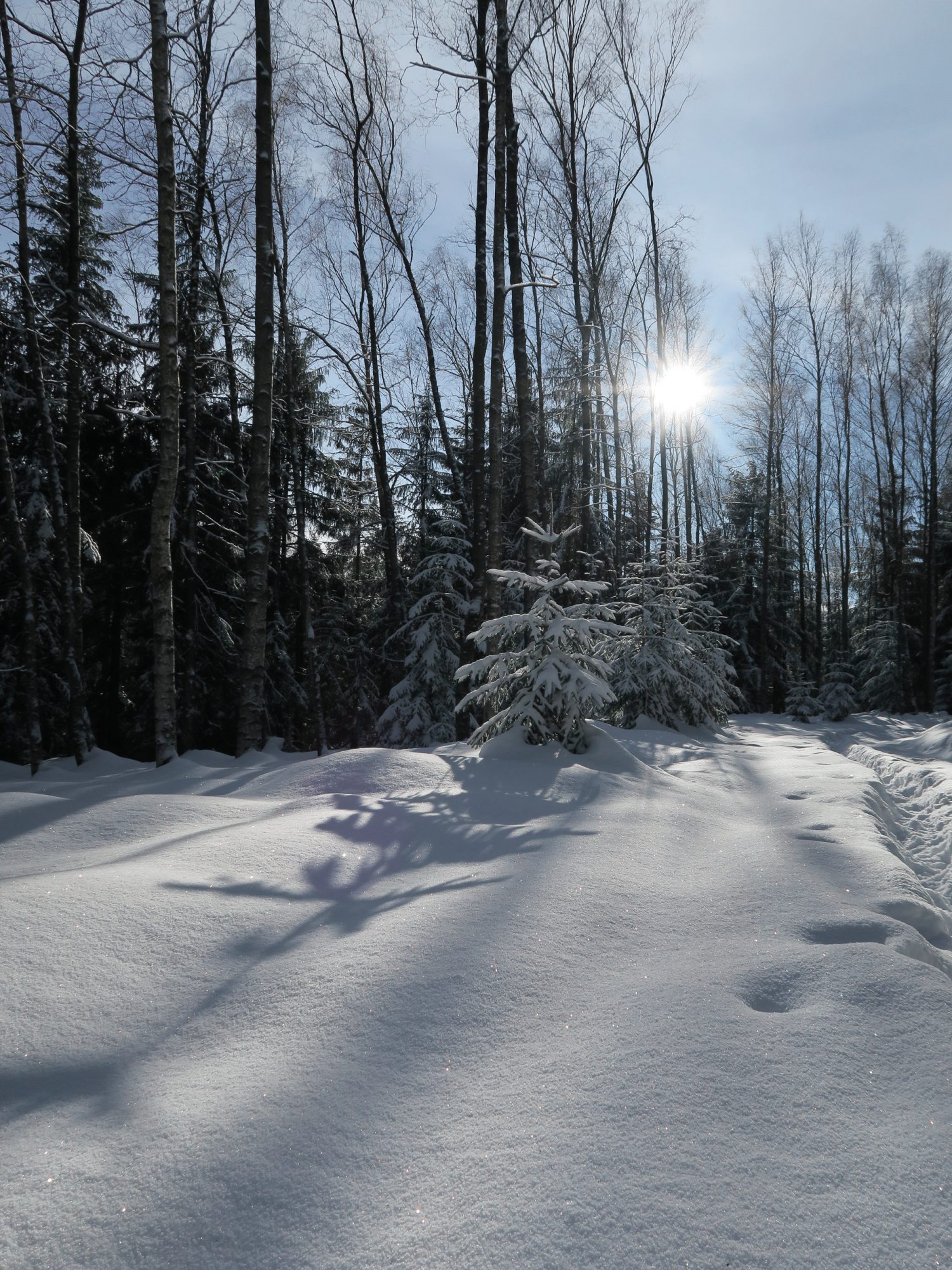 Winterwandern im Vogtland, Felsenweg, Grünbach