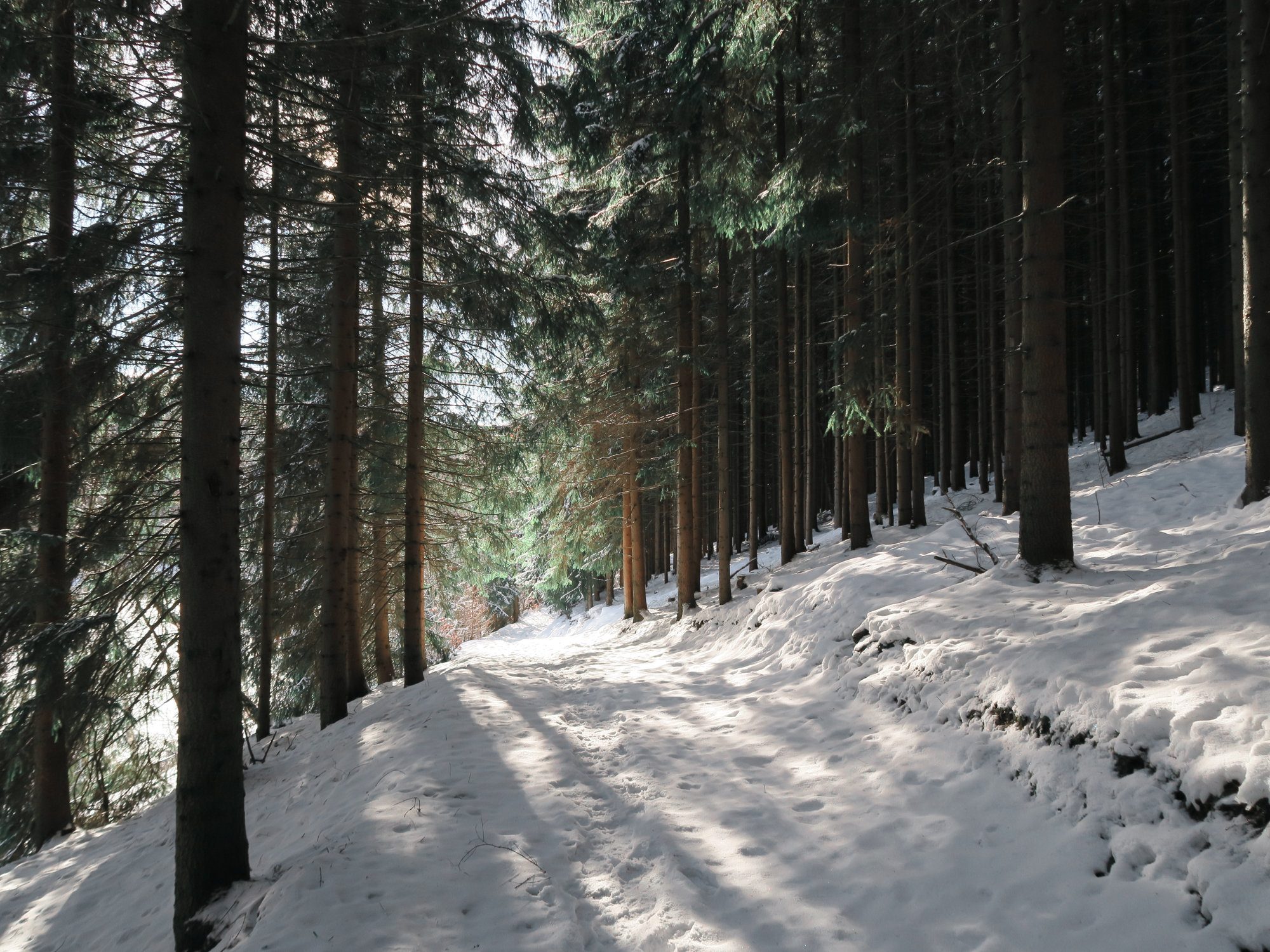 Winterwandern im Vogtland, Felsenweg, Grünbach