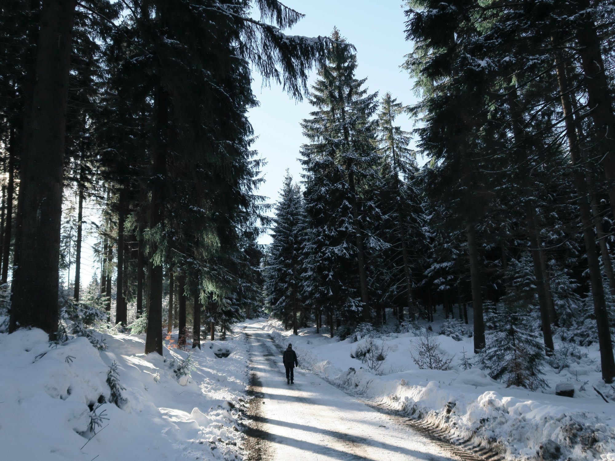 Winterwandern im Vogtland, Felsenweg, Grünbach