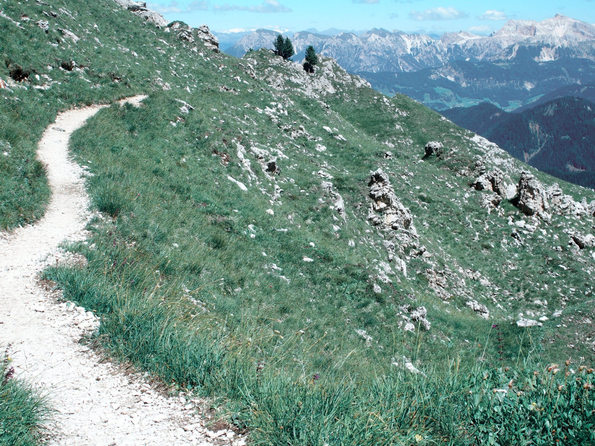 Alpenüberquerung Traumpfad Venedig-München Weitwanderung