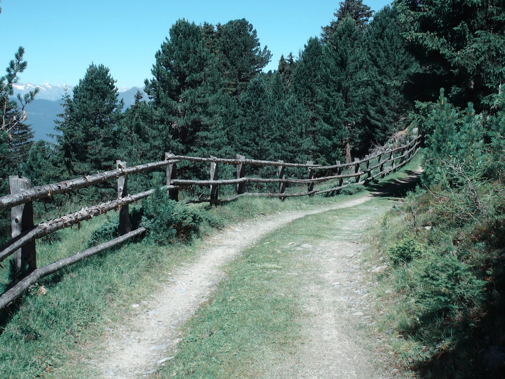 Alpenüberquerung Traumpfad Venedig-München Weitwanderung