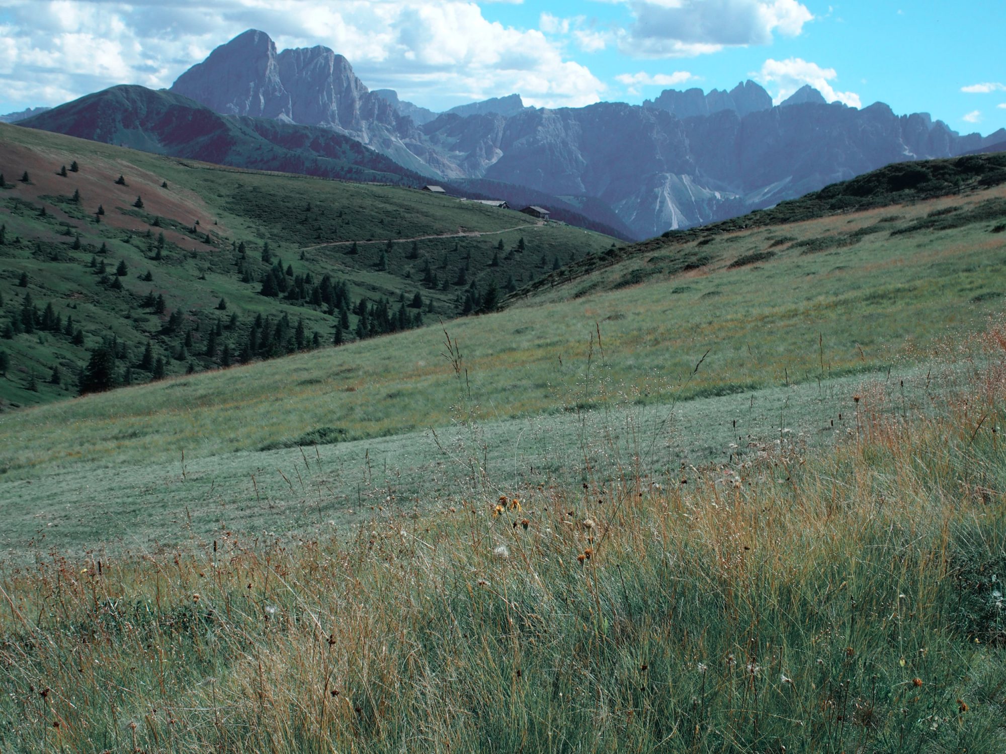 Alpenüberquerung Traumpfad Venedig-München Weitwanderung