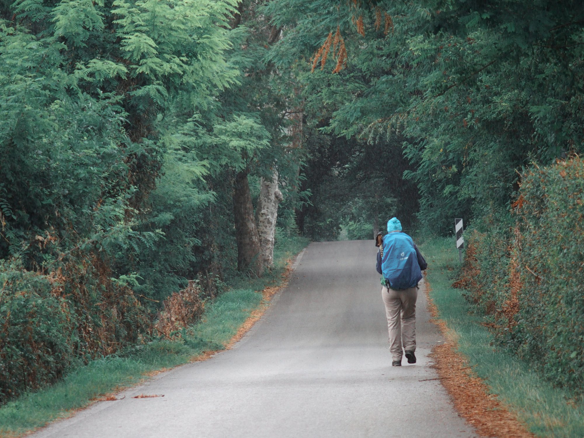 Schöne Alleen, Fjella Traumpfad Venedig-München Weitwanderung (11)