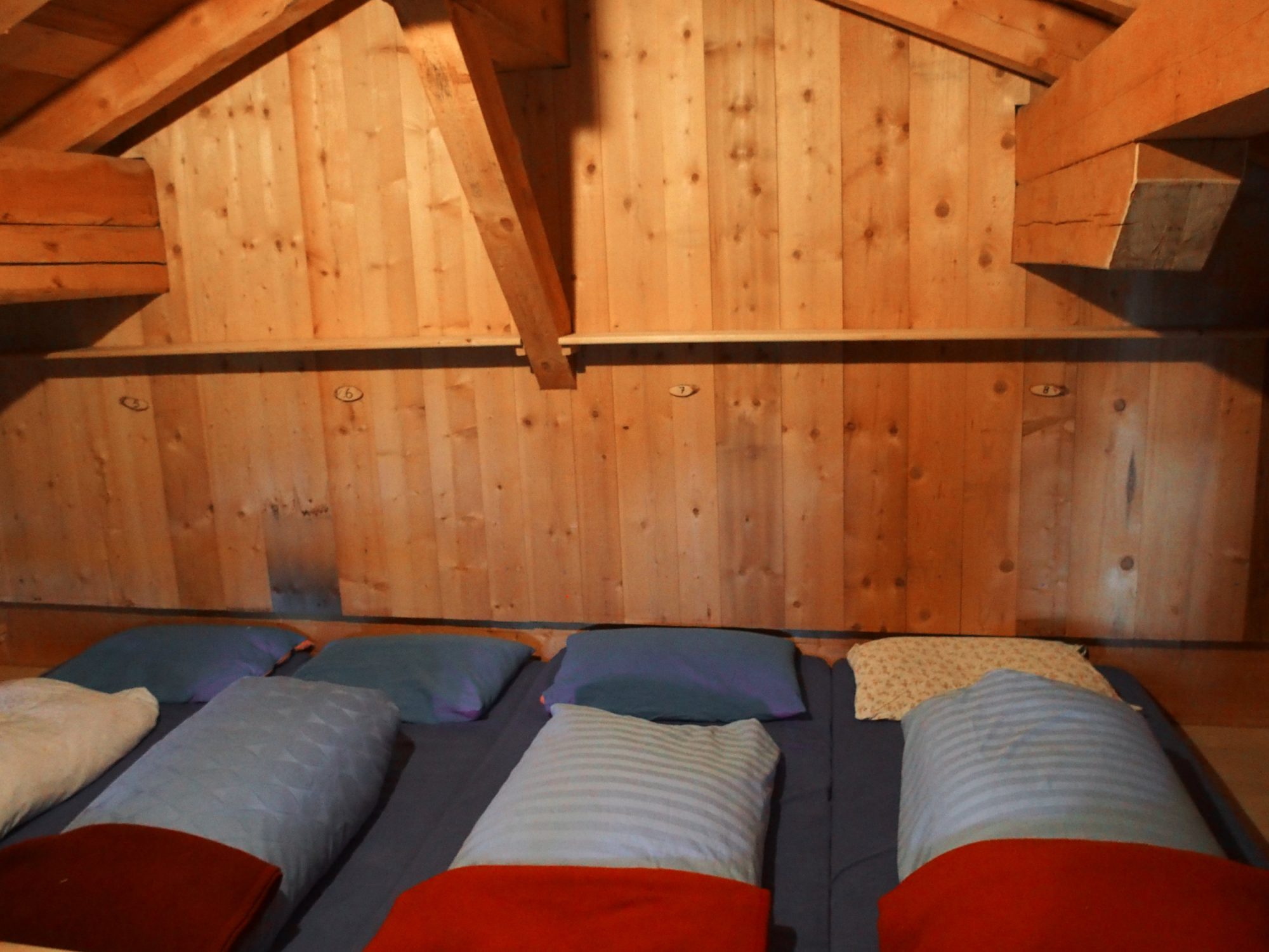 Alpenüberquerung Traumpfad Venedig-München Weitwanderung