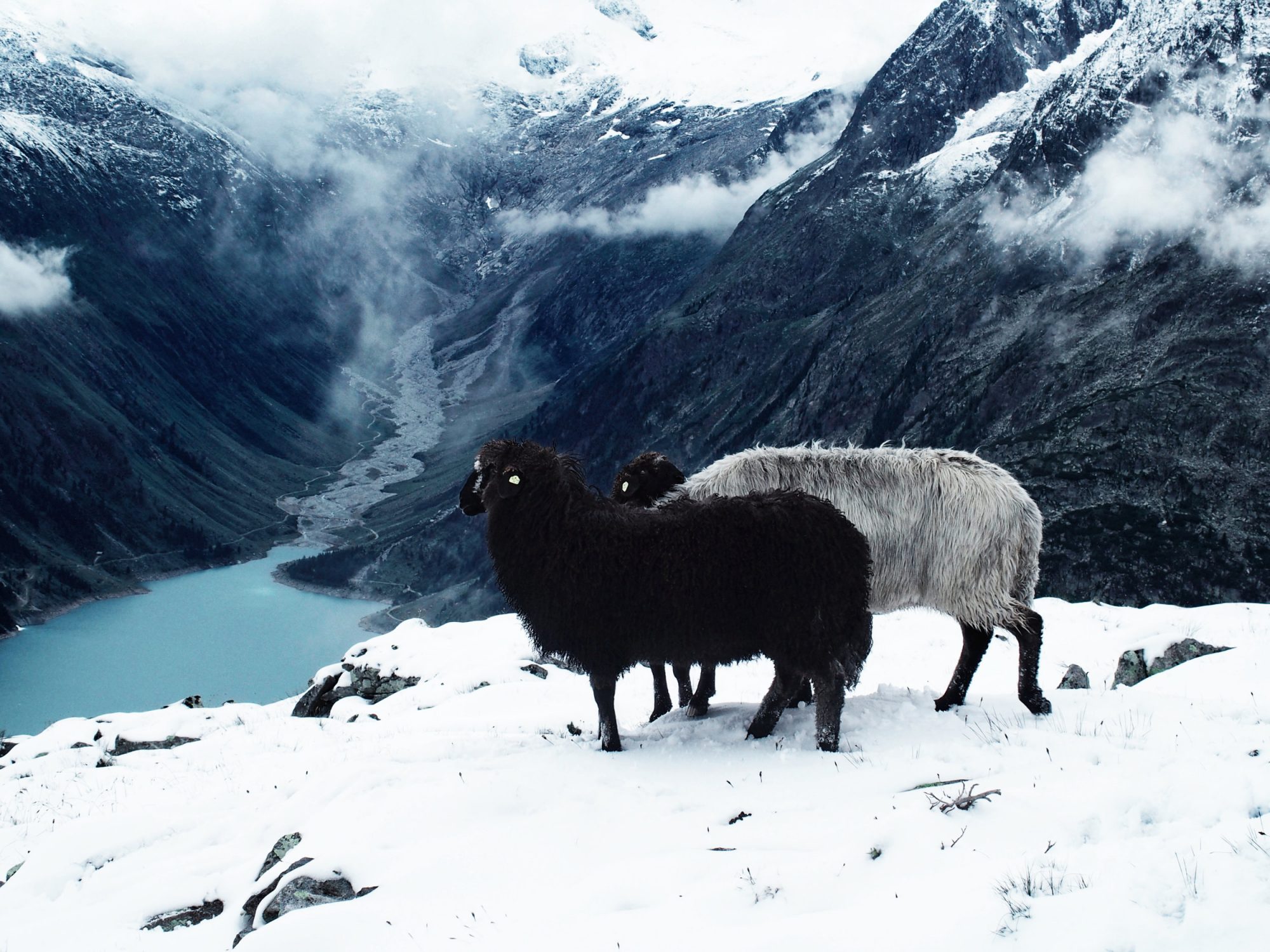 Schlegeisspeicher, Alpenüberquerung Traumpfad Venedig-München Weitwanderung
