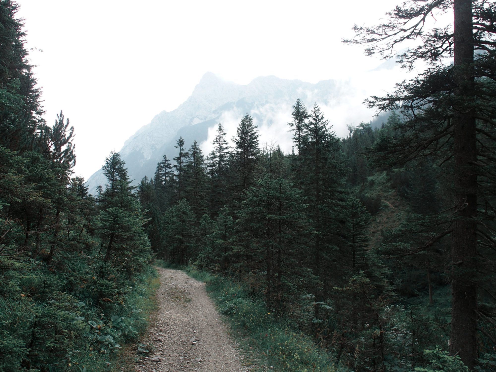 Alpenüberquerung Traumpfad Venedig-München Weitwanderung