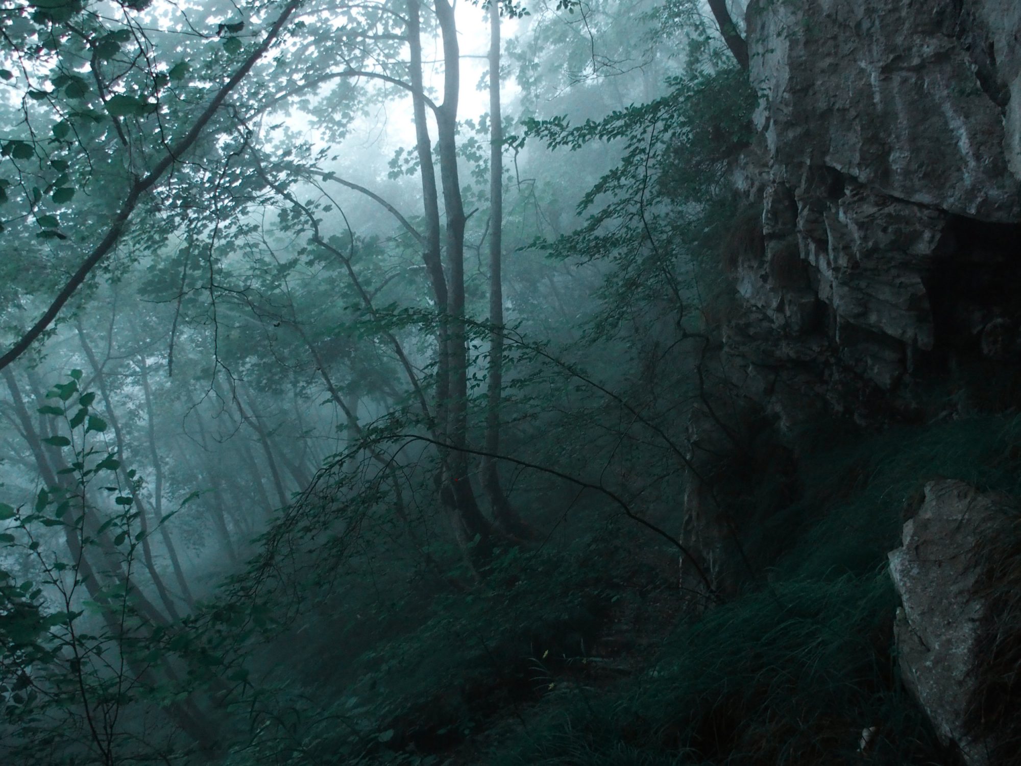 Alpenüberquerung Traumpfad Venedig-München Weitwanderung