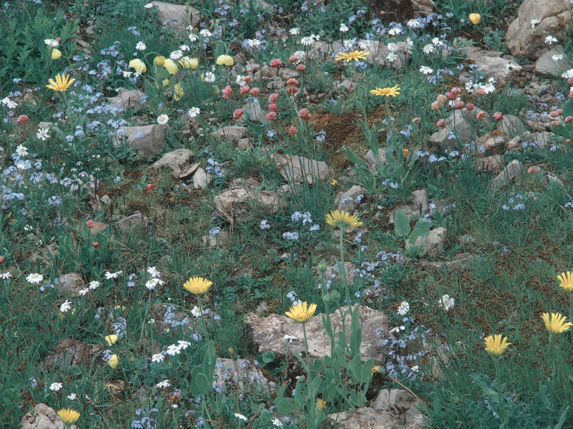 Schiara Klettersteig, Alpenüberquerung Traumpfad Venedig-München Weitwanderung