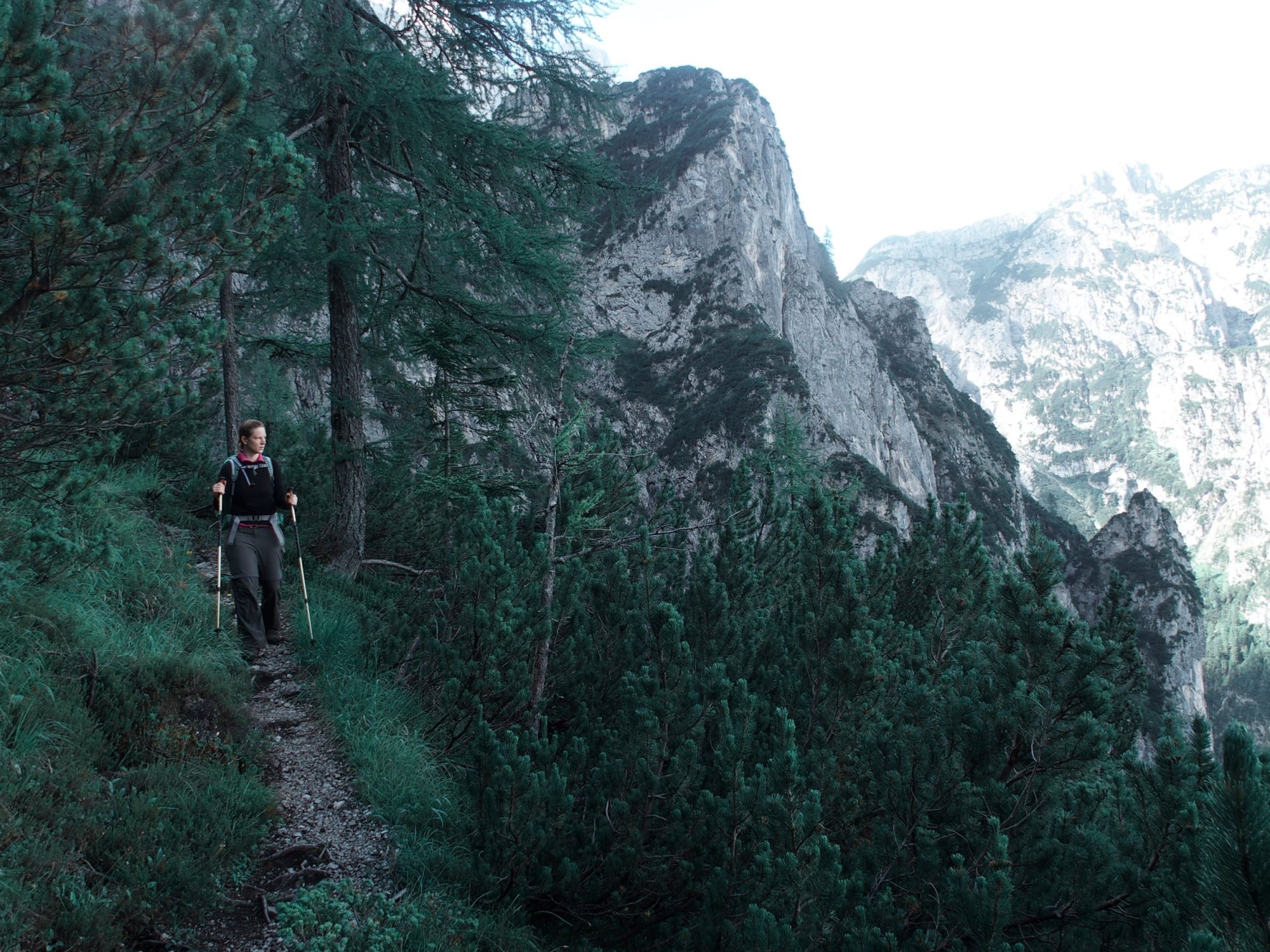 Alpenüberquerung Traumpfad Venedig-München Weitwanderung