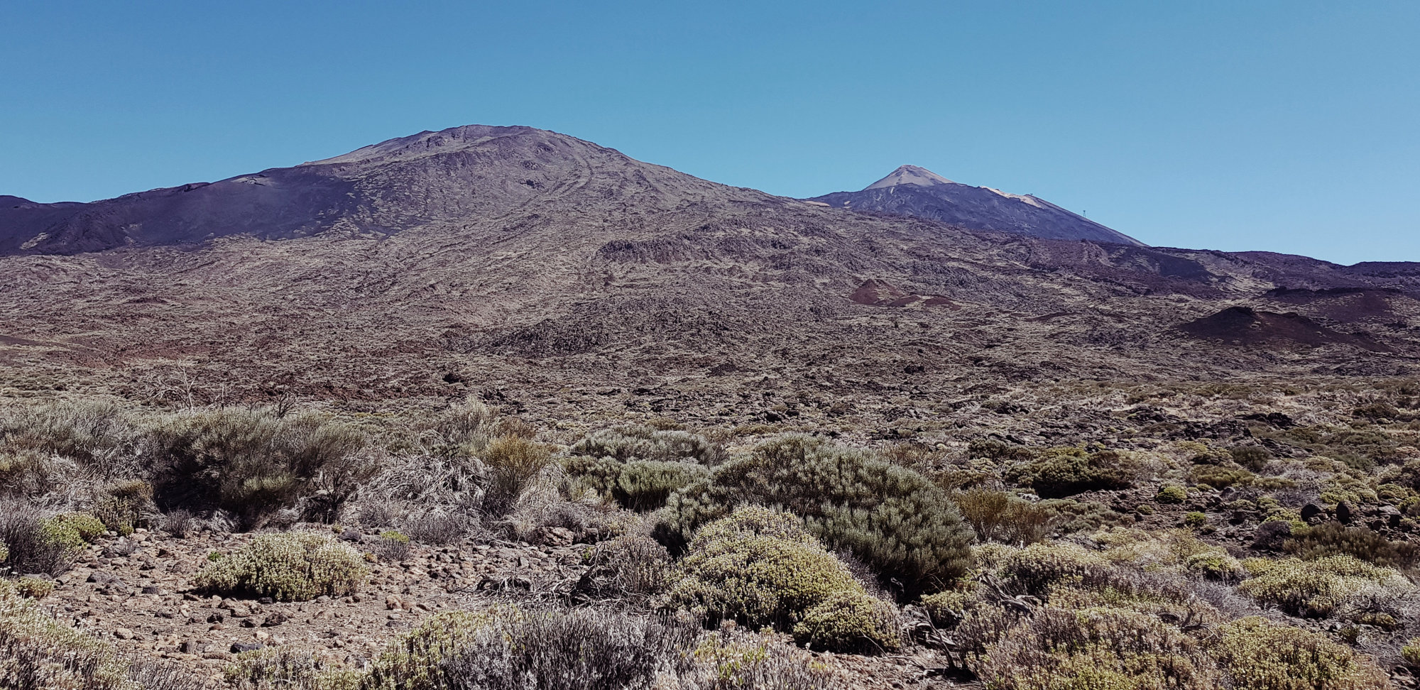Blick auf den Pico Viejo und Pico del Teide