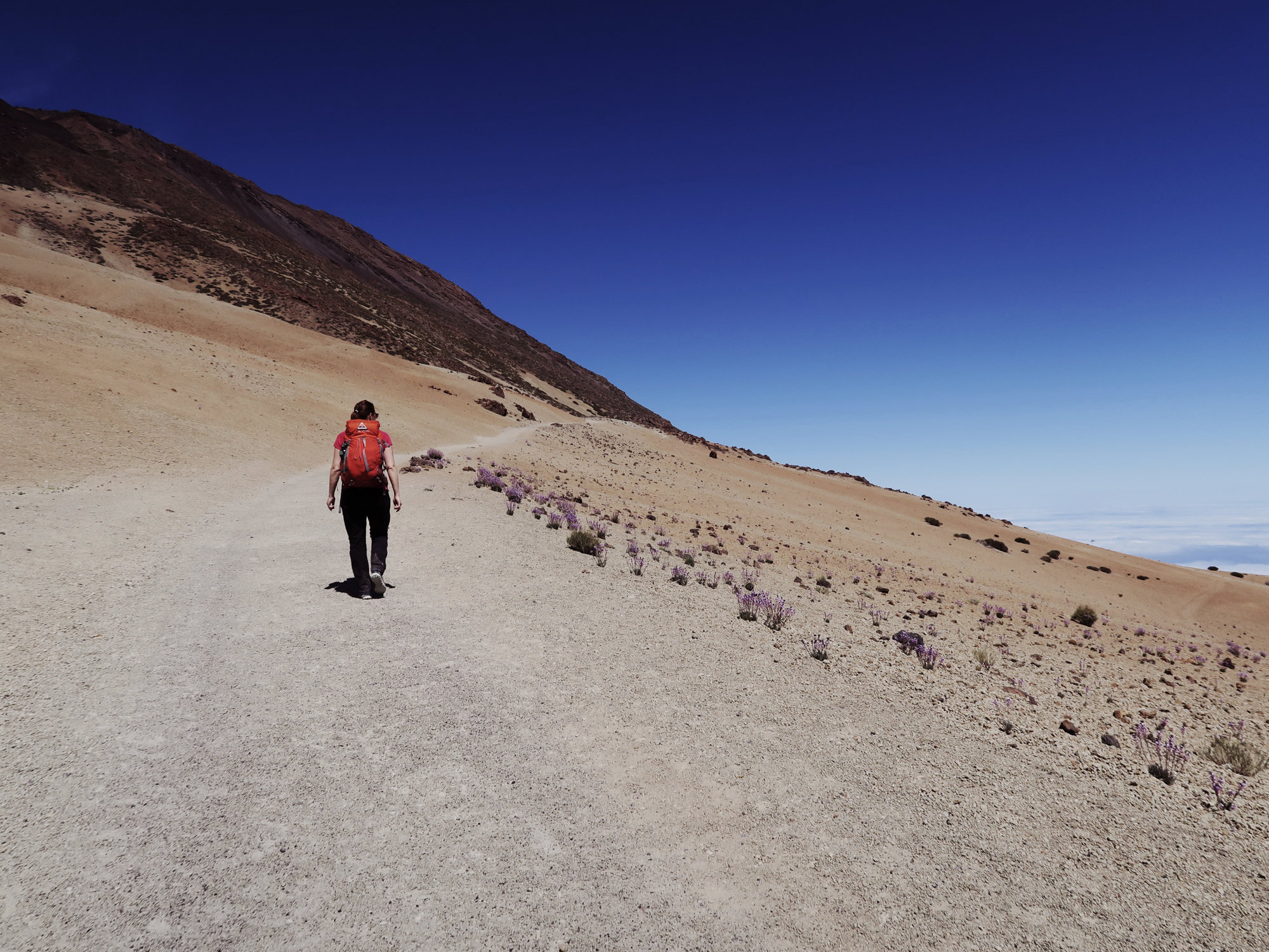 Wanderung durch helles Bimsgestein auf dem Weg zum Refugio Altavista