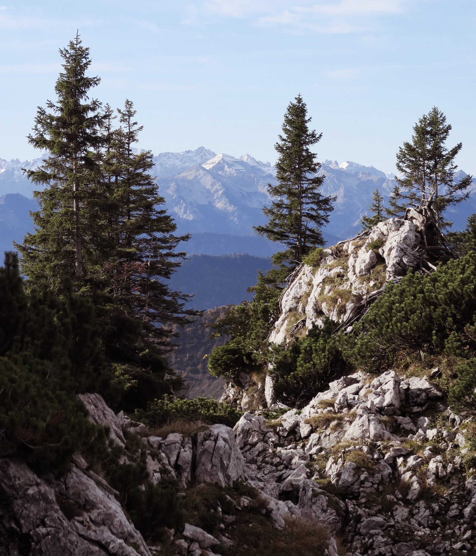 Tolle Wanderpfade im Herbst auf der Benediktenwand