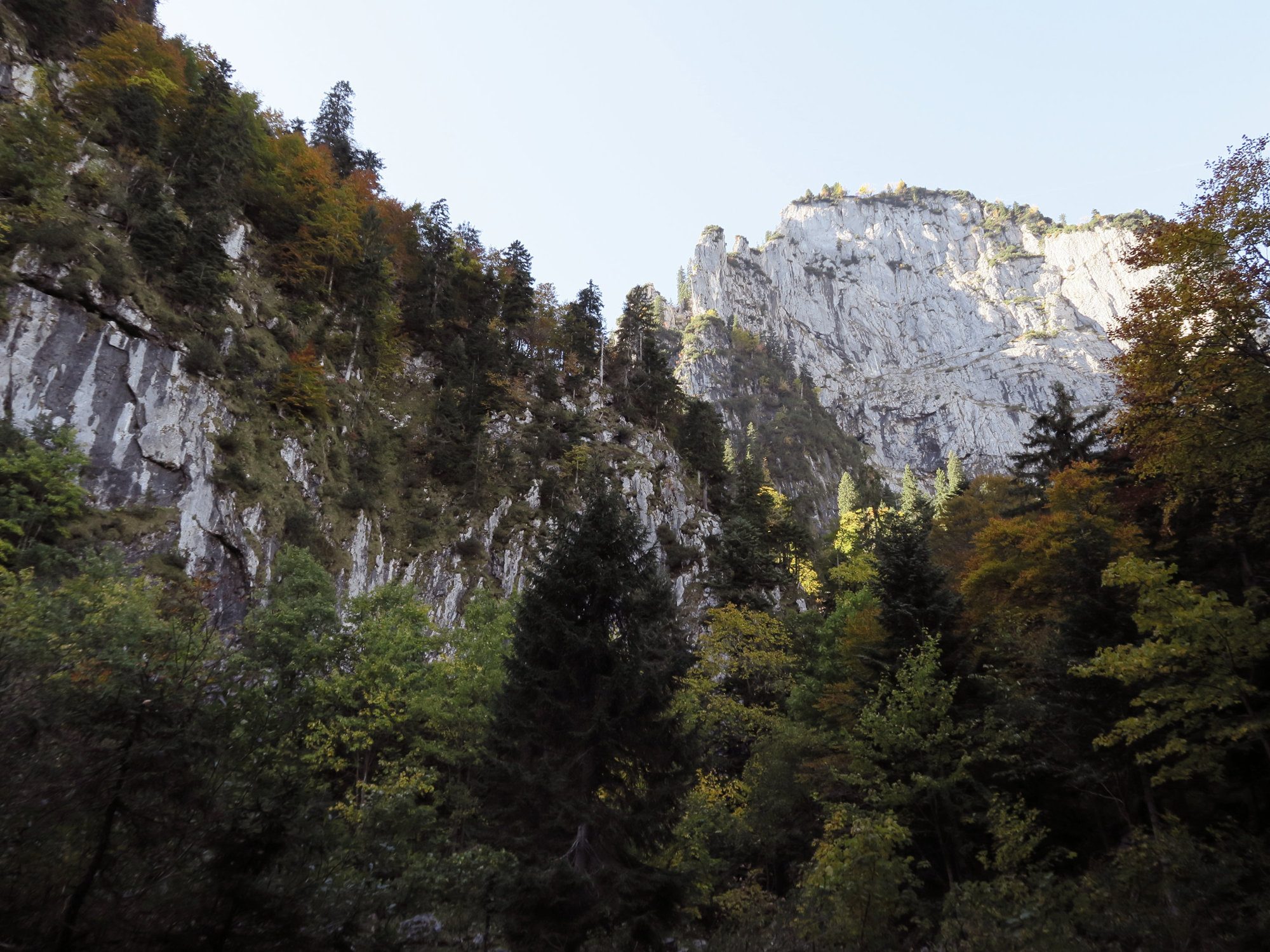 Blick zurück auf die Probstwand mit herbstlichen Bäumen