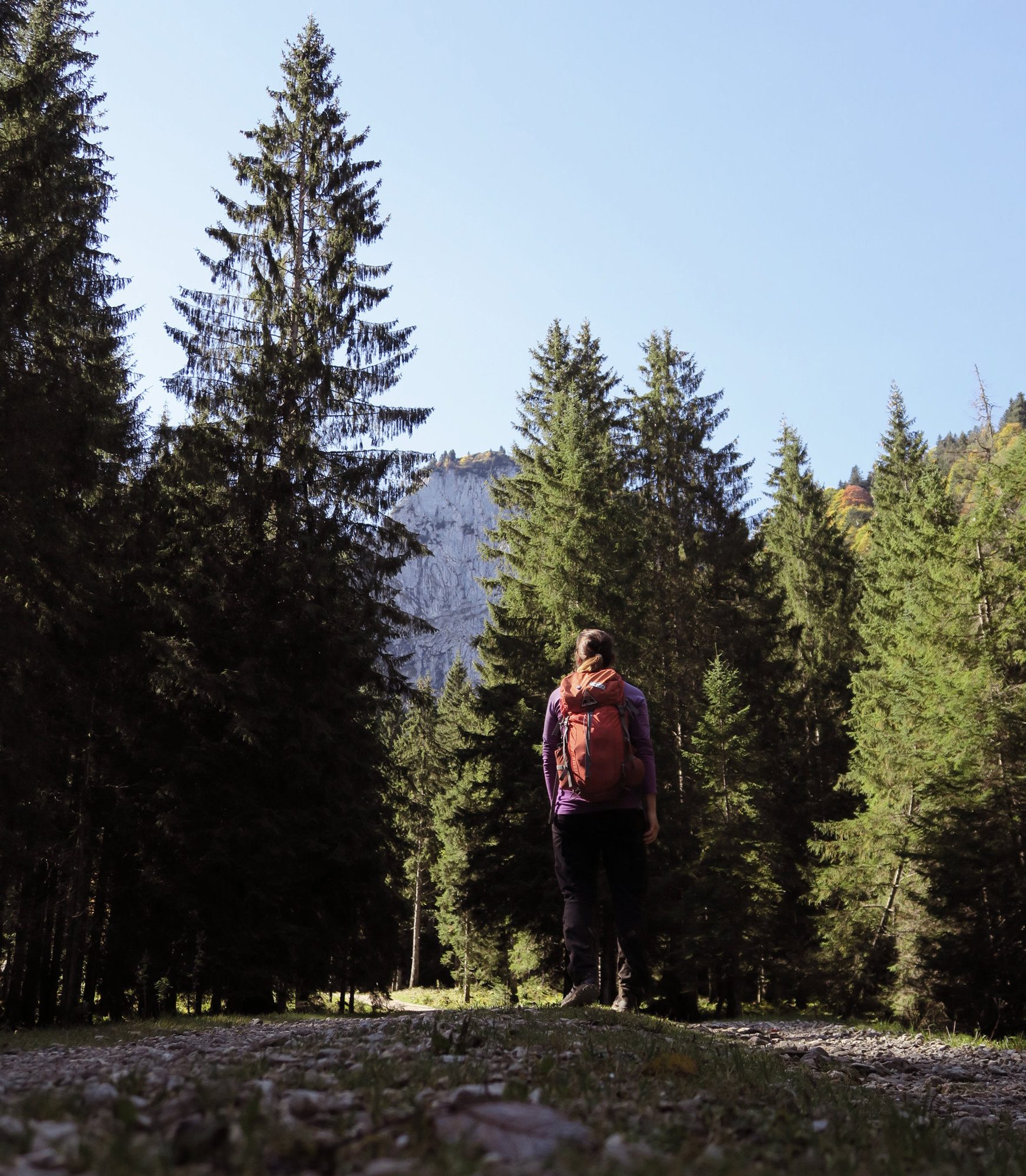 Forstweg im Längental