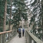 Bayerischer Wald Baumwipfelpfad, Nationalparkzentrum Lusen