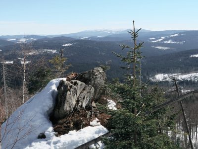 Winterwanderung auf den Siebensteinkopf, Schneeschuhwandern Winterwandern Bayerischer Wald