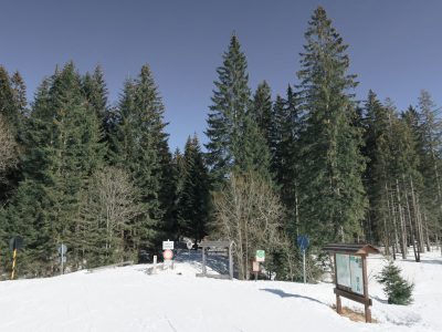 Winterwanderung auf den Siebensteinkopf, Schneeschuhwandern Winterwandern Bayerischer Wald