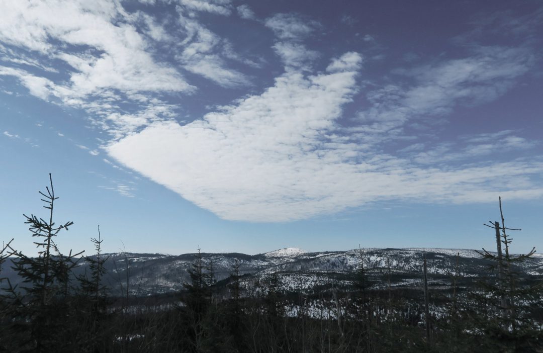 Ausblick vom Siebensteinkopf, Schneeschuhwandern und Winterwandern Bayerischer Wald